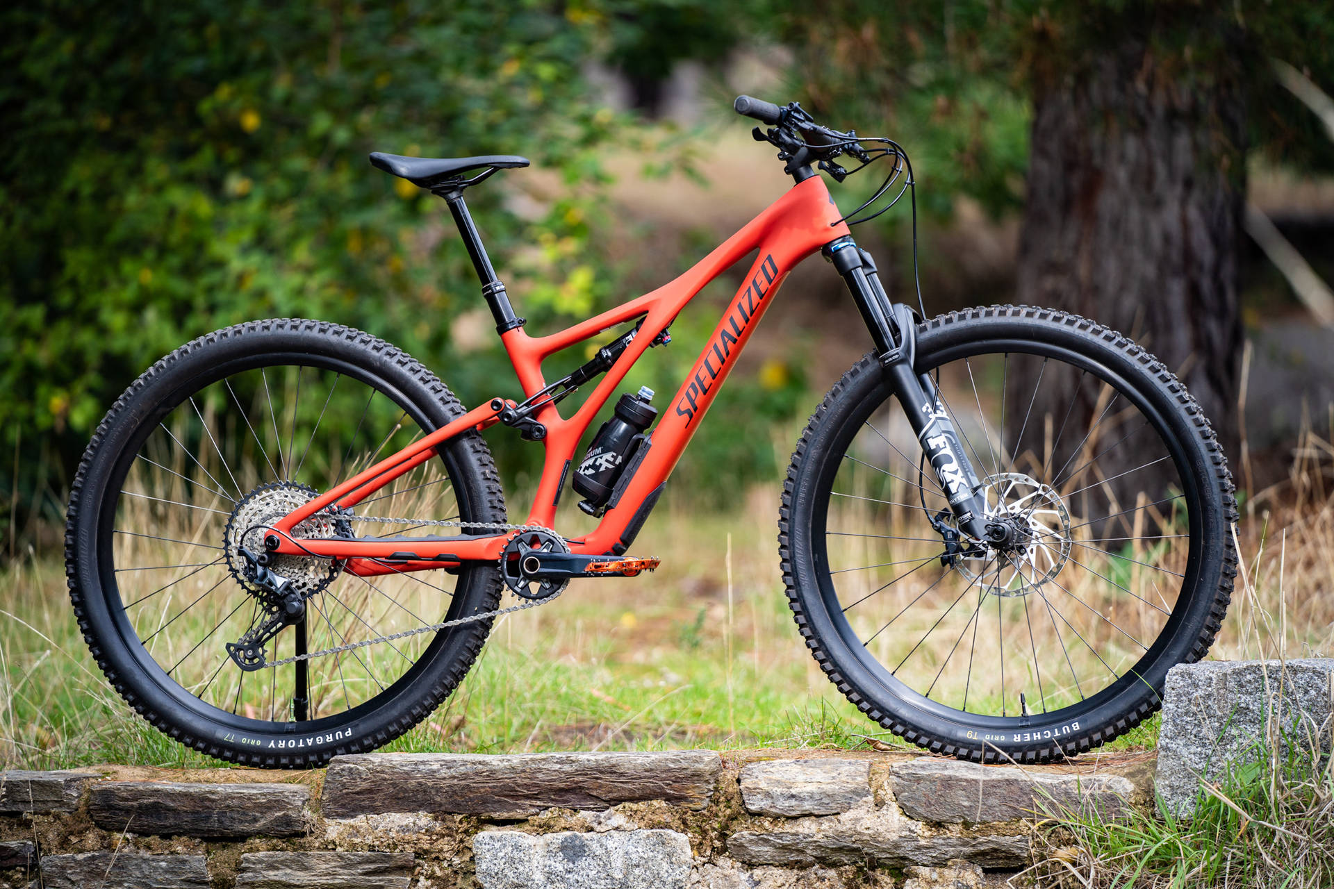 腳踏車 桌布 壁紙 — 一輛鮮橙色的Specialized登山車停放在石牆上，周圍是茂密的綠色樹葉。