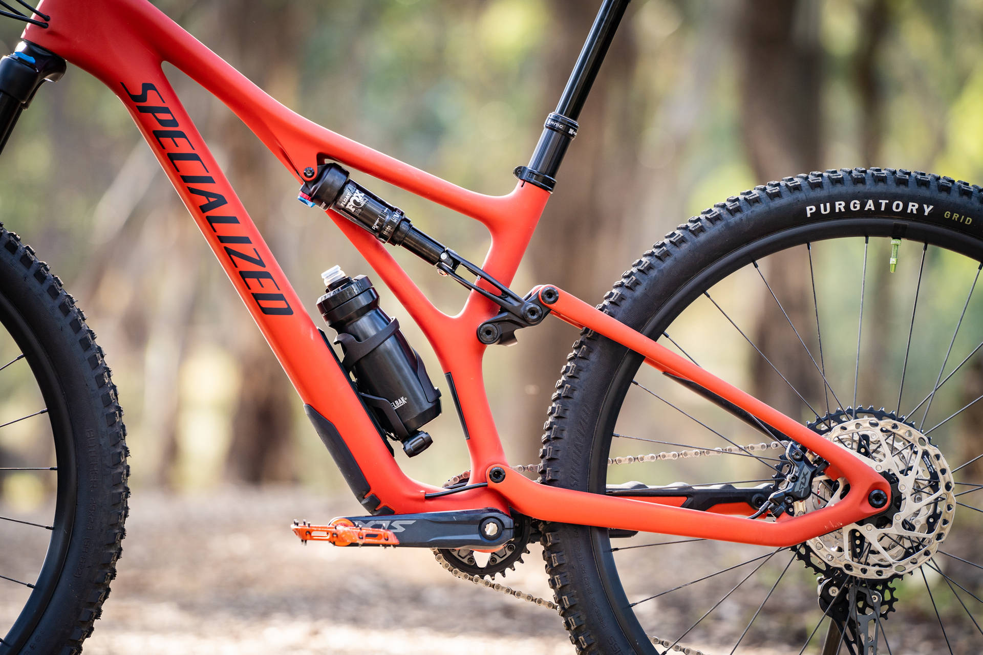 腳踏車 桌布 壁紙 — 一輛鮮橙色的Specialized登山車，配備黑色輪胎和避震系統，佇立在陽光普照的森林小徑上。