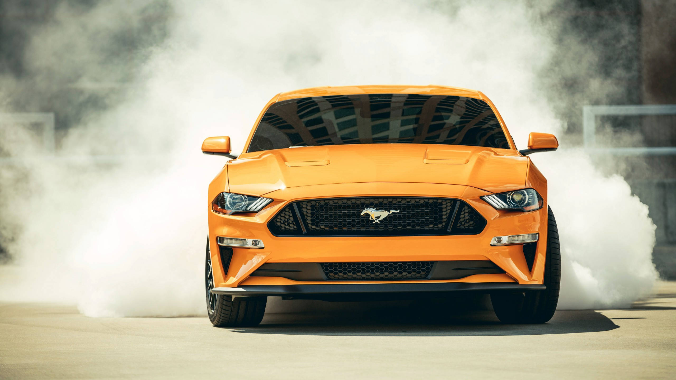 Ford Mustang 桌布 壁紙 — 一輛鮮橙色的福特野馬在混凝土場地上進行燒胎，輪胎冒出濃厚的白煙。