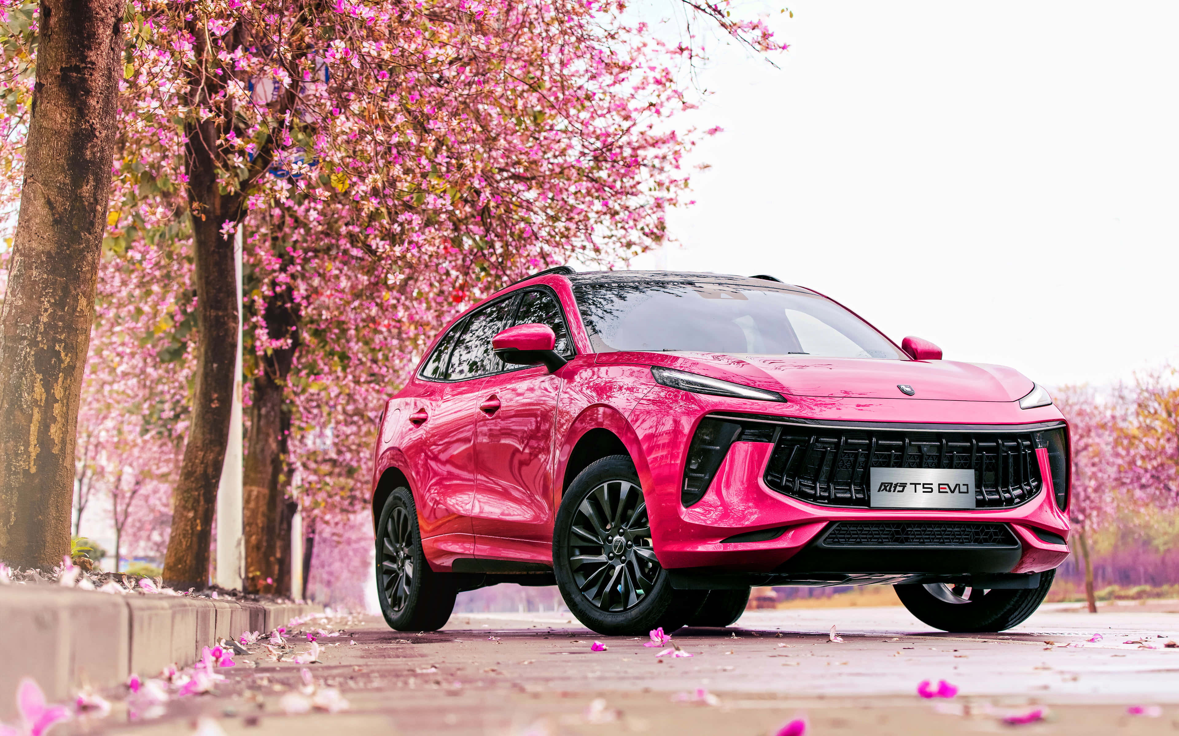 Dongfeng 桌布 壁紙 — 一輛鮮粉紅色SUV停放在盛開的櫻花樹下，地上散落著花瓣。