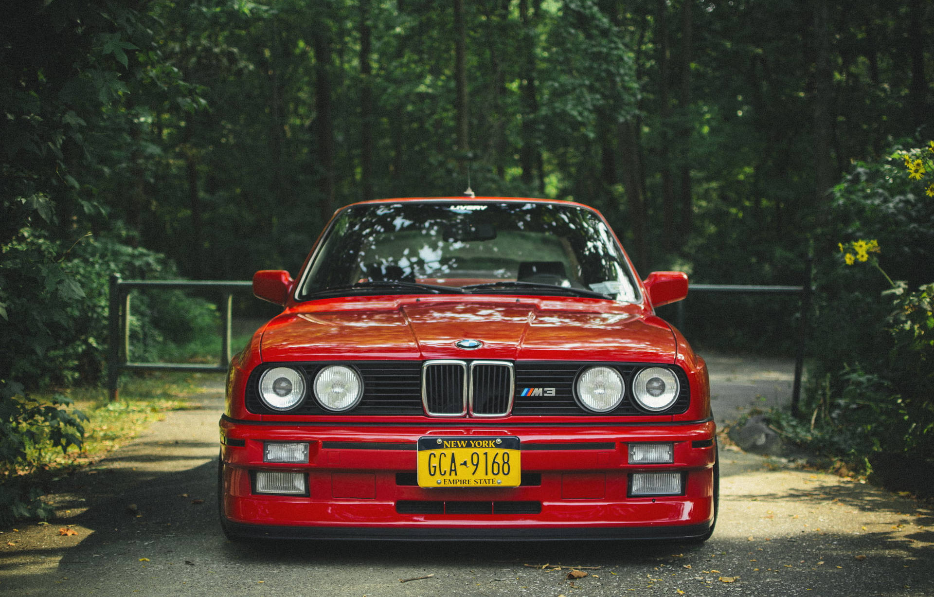 紅色BMW M3停放在樹木環繞的陰涼森林道路上。 — BMW 動圖 壁紙