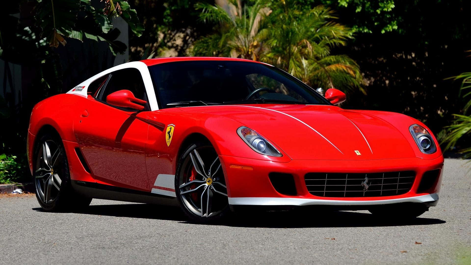 Ferrari 599 Gtb Fiorano 桌布 壁紙 — 一輛鮮紅色法拉利跑車帶有白色點綴，停在瀝青路上，陽光普照，背景是茂密的綠色棕櫚樹。