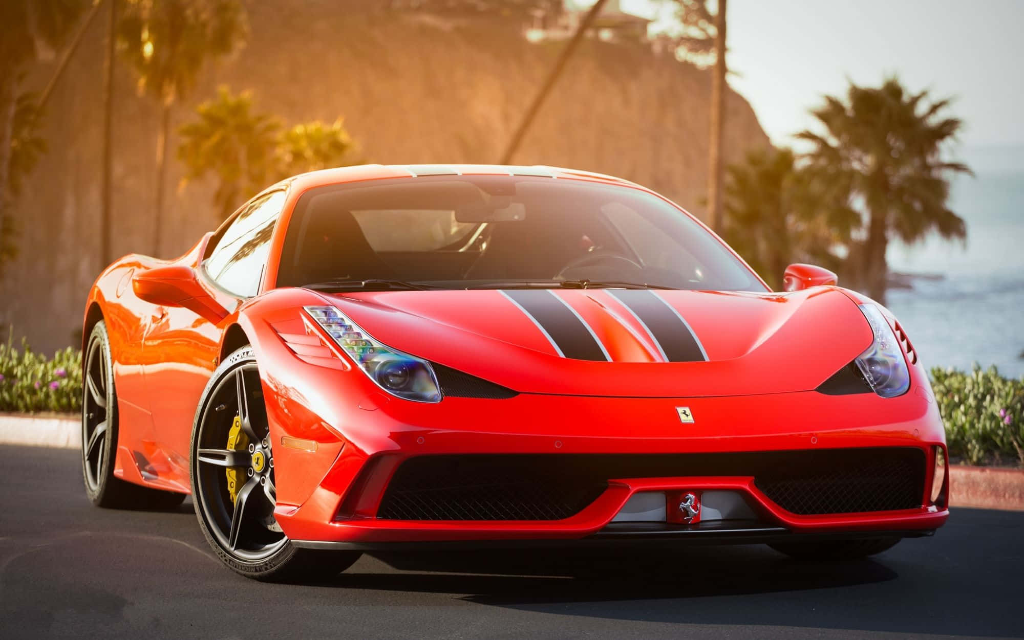 Ferrari 458 Speciale 桌布 壁紙 — 一輛鮮紅色法拉利跑車帶有黑色賽車條紋，停泊在棕櫚樹和海洋旁邊的海岸道路上。