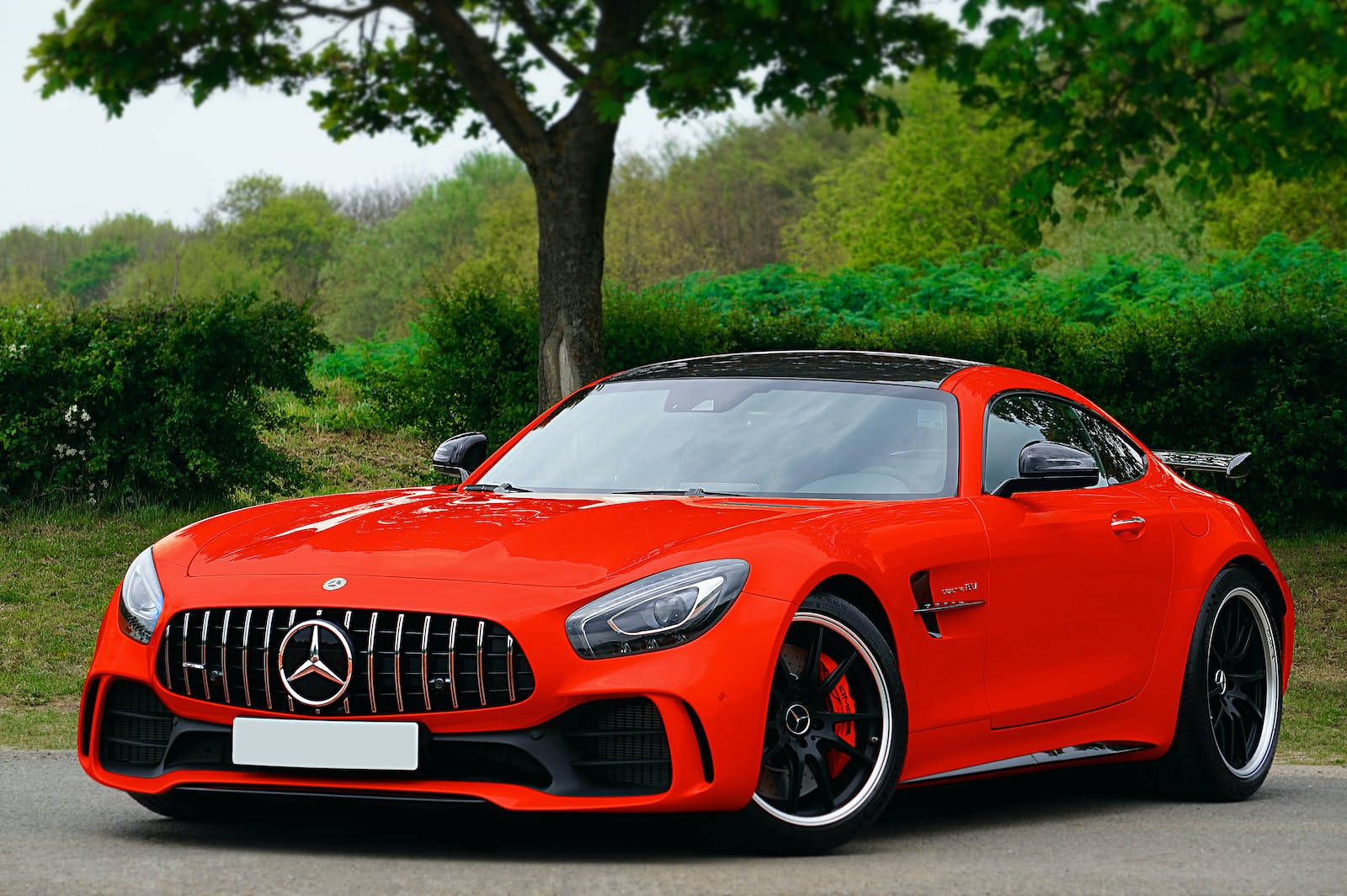Luxury 桌布 壁紙 — 一輛鮮紅色的 Mercedes-AMG GT 跑車停放在鋪砌的道路上，背景是綠葉成蔭的樹木。