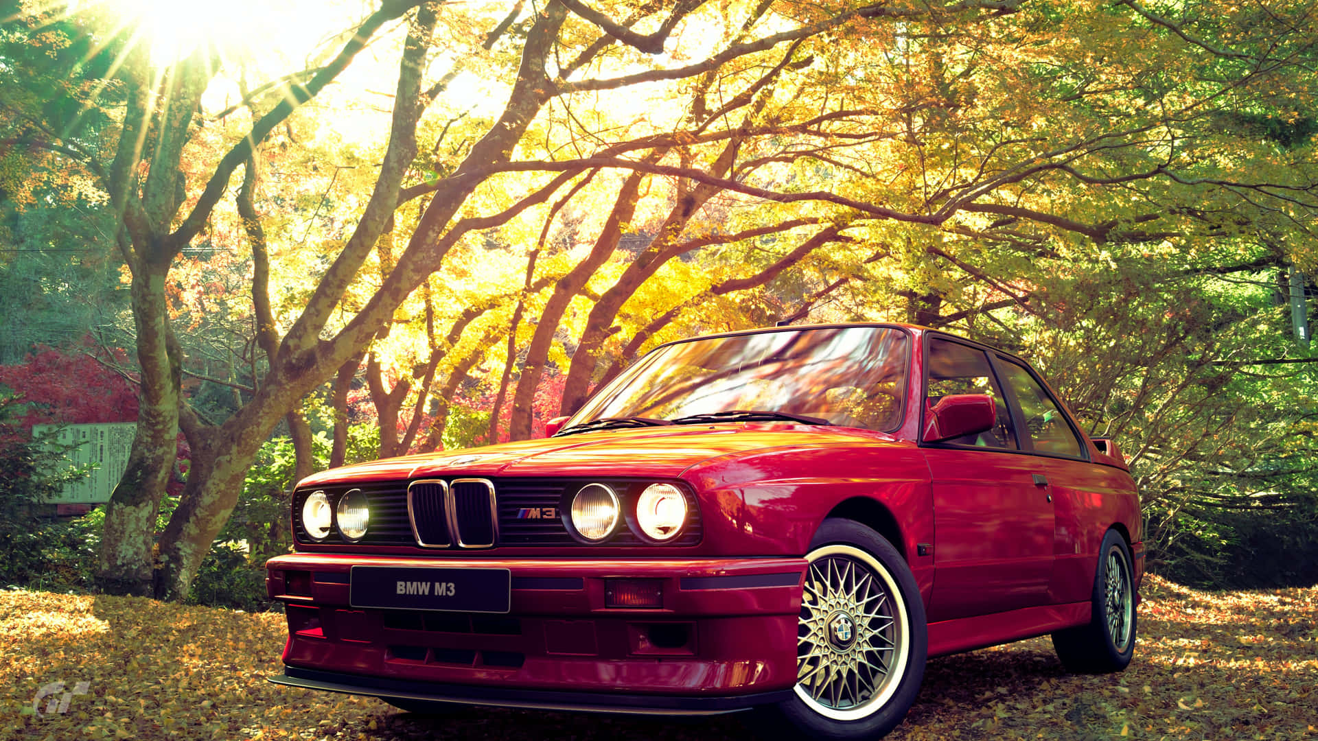 BMW 動圖 桌布 壁紙 — 一輛鮮紅色的BMW M3雙門跑車在金色秋日陽光下閃閃發光，陽光穿過茂密的樹木，樹葉飄落。