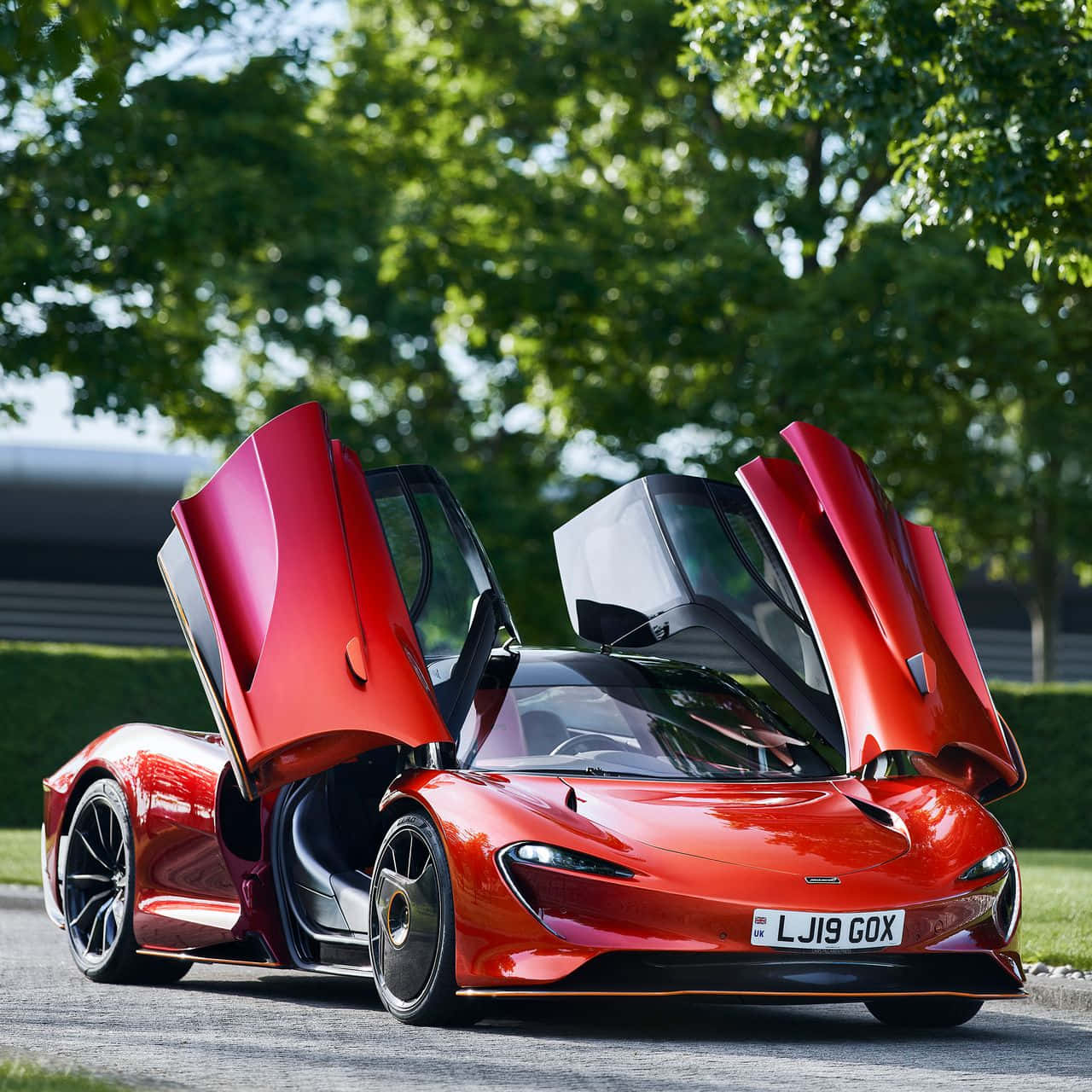 麥拉倫 桌布 壁紙 — 一輛鮮紅色的McLaren跑車，鷗翼車門打開，停在陽光普照的林蔭大道上。