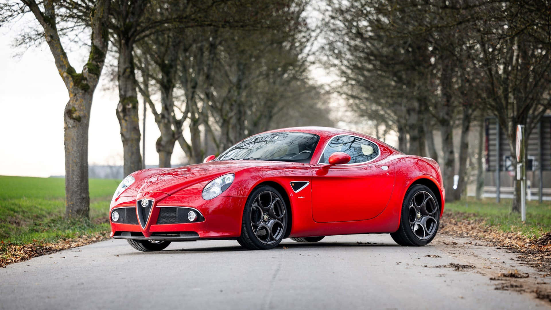 Alfa Romeo 8c Competizione 桌布 壁紙 — 一輛鮮紅色的愛快羅密歐跑車停泊在樹蔭大道上，落葉鋪地，柔和日光下。