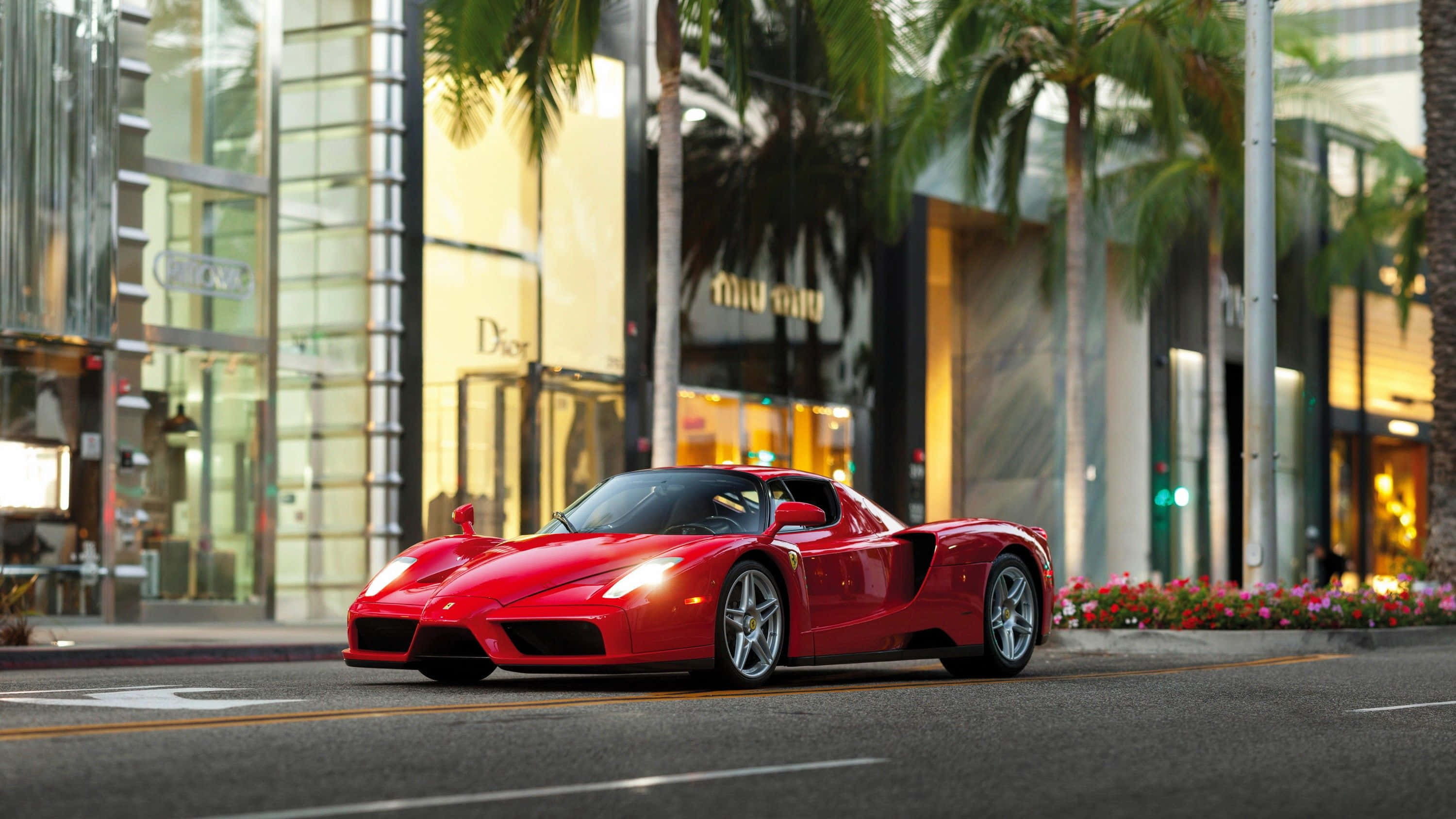 Ferrari Enzo 桌布 壁紙 — 一輛鮮紅色的法拉利Enzo停泊在棕櫚樹成蔭的城市街道上，正值黃金時刻，背後豪華商店閃爍著光芒。