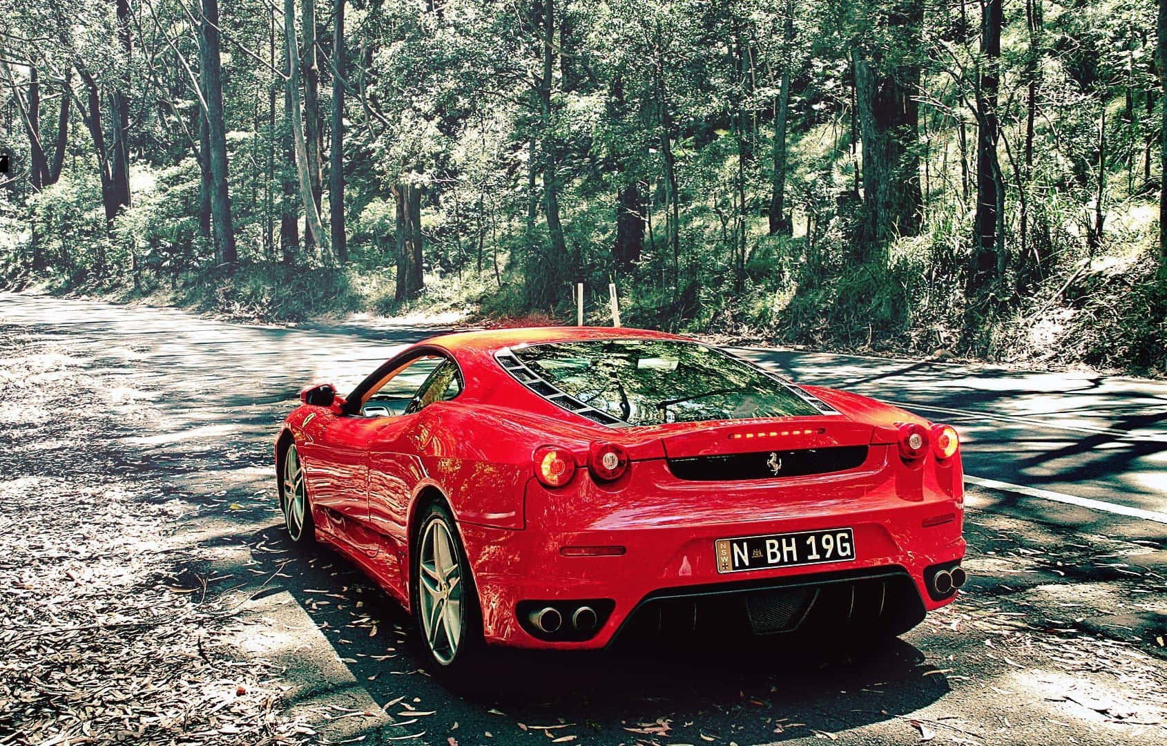 Ferrari F430 桌布 壁紙 — 一輛鮮紅色的法拉利跑車停泊在陽光斑駁的森林道路上，周圍環繞著高大的樹木。