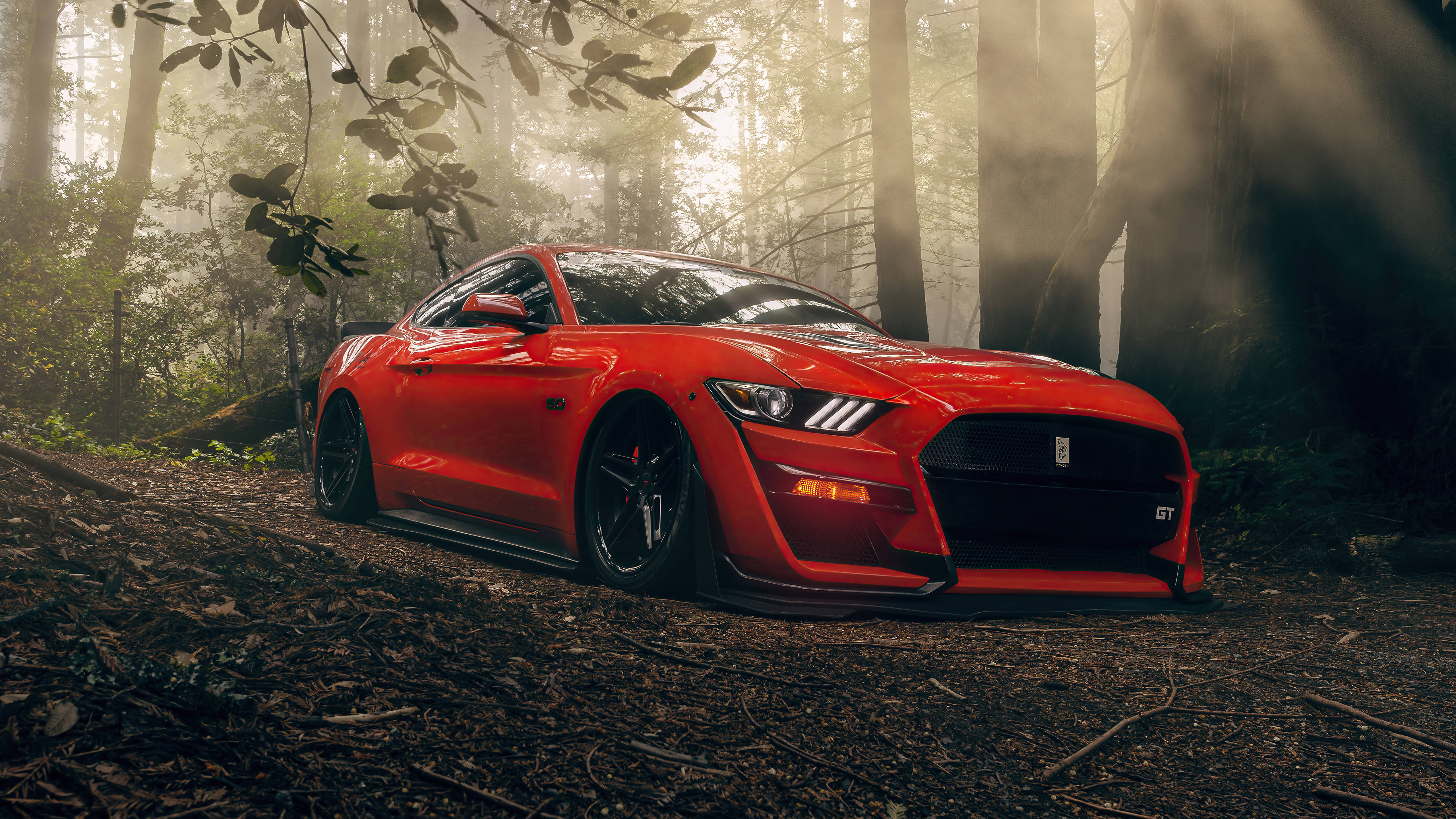 Cool Mustang 桌布 壁紙 — 一輛鮮紅色的福特野馬GT停在森林小徑上，陽光透過霧氣繚繞的樹木灑落。