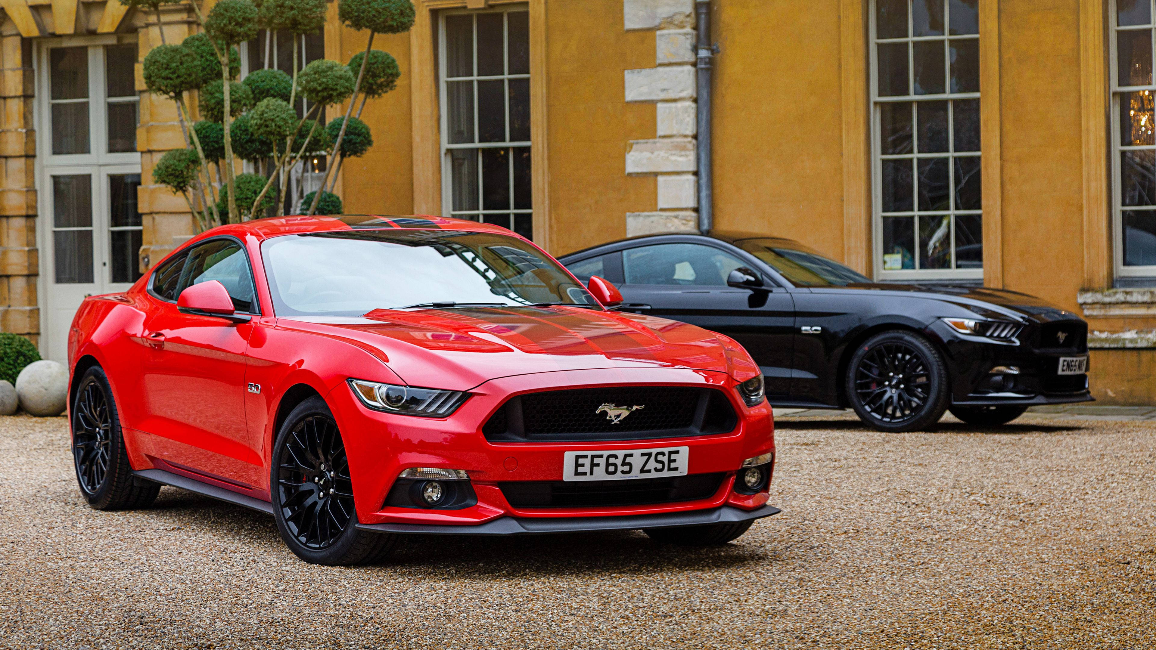 mustang HD 桌布 壁紙 — 一輛鮮紅色的福特野馬和時尚的黑色野馬停在碎石路上，前面是一座宏偉的黃色石砌豪宅。