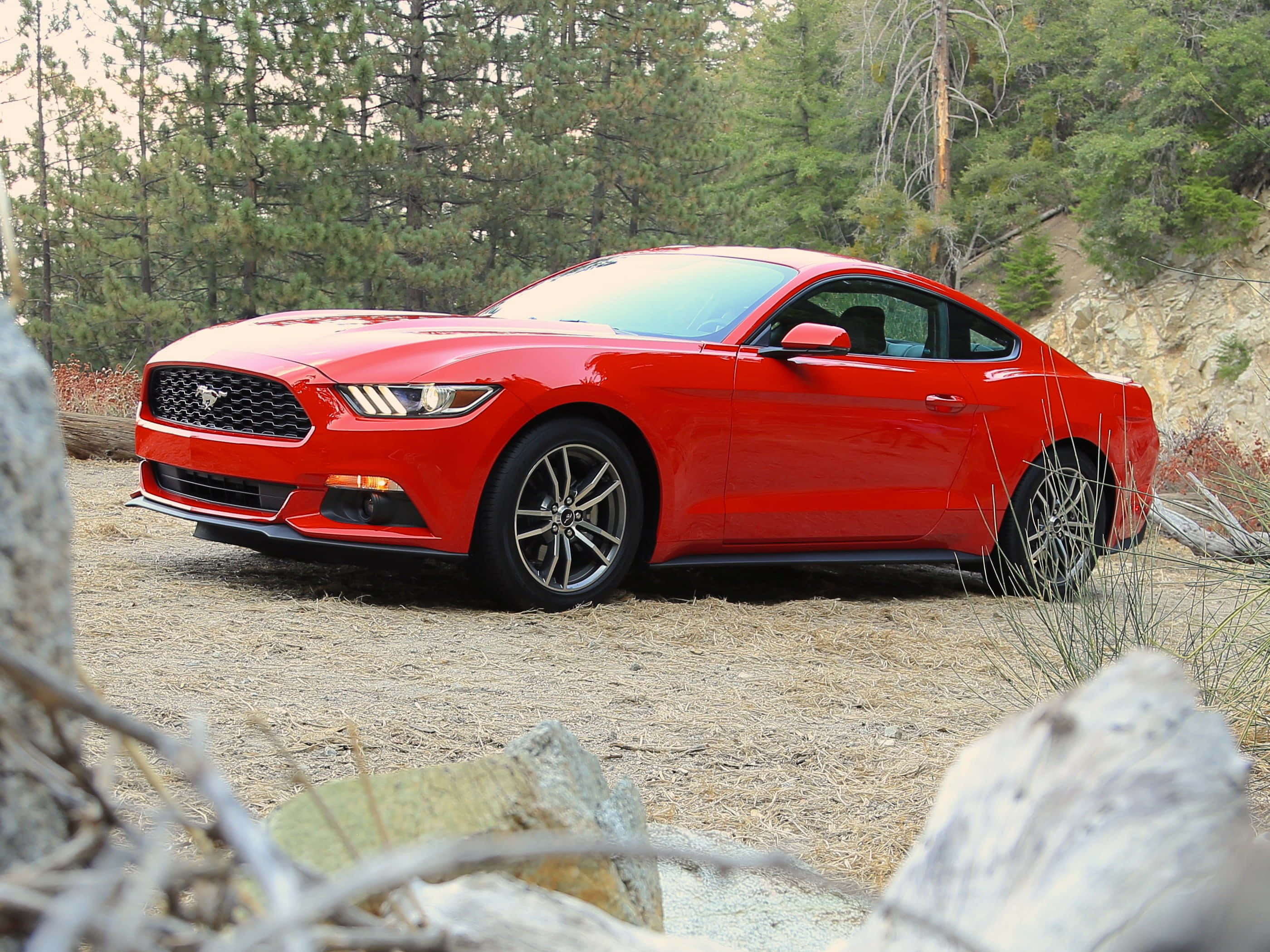 Ford Mustang Ecoboost 桌布 壁紙 — 一輛鮮紅色的福特野馬轎跑車停泊在泥濘小徑上，周圍環繞著松樹和岩石地形。