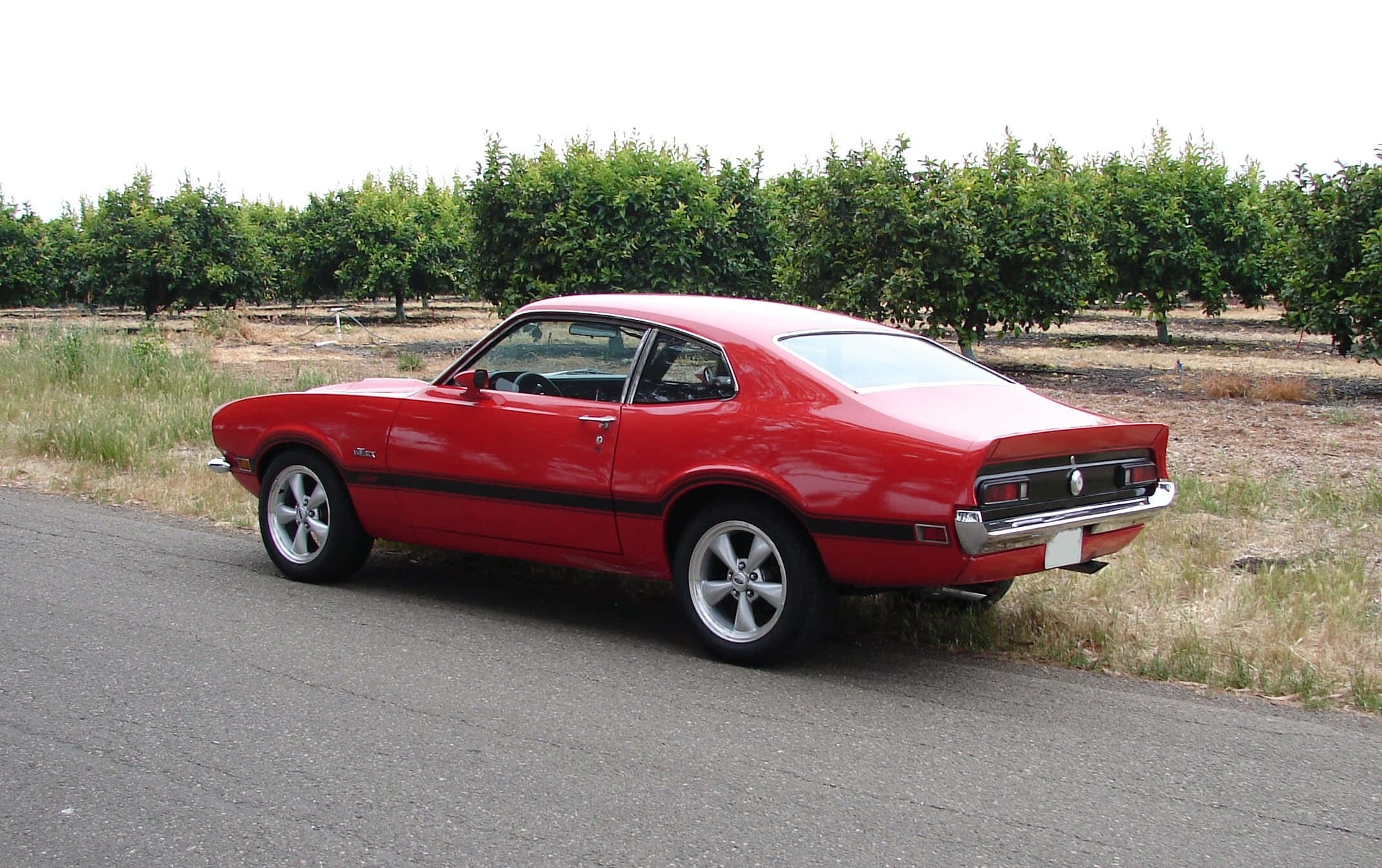 Ford Maverick 桌布 壁紙 — 一輛鮮紅色的經典肌肉車停在路邊，旁邊是一排整齊的綠色果樹，天空明亮。