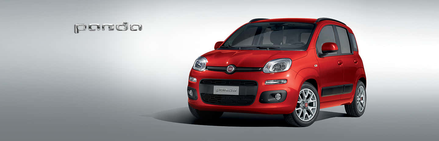 Fiat Panda 桌布 壁紙 — 一輛鮮紅色的菲亞特 Panda 緊湊型汽車在乾淨的攝影棚環境中展示，配有柔和燈光和漸變灰色背景。