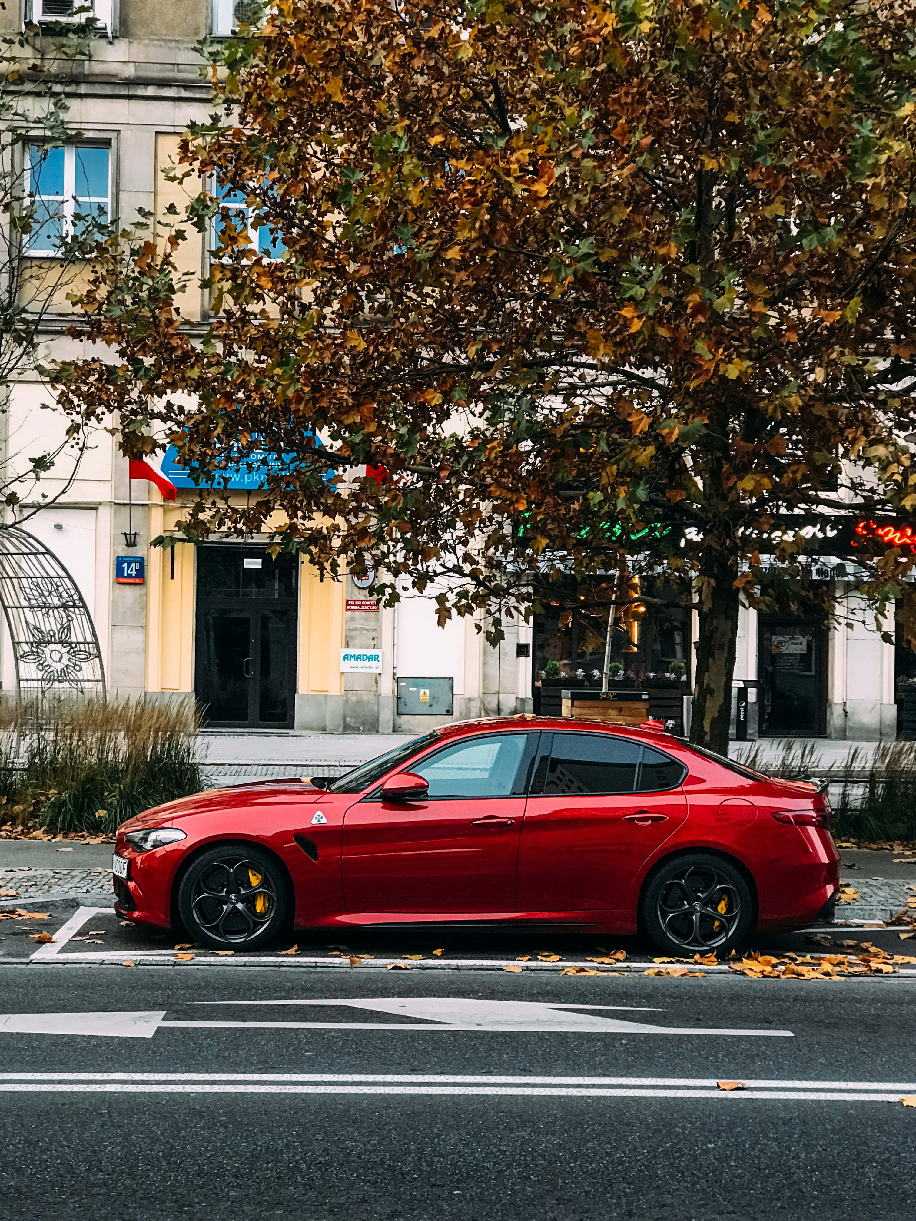 cars 桌布 壁紙 — 一輛鮮紅色跑車停泊在鵝卵石街道上，樹上掛滿金黃色的秋葉。