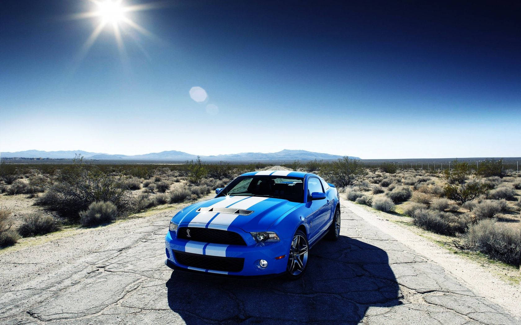 福特 桌布 壁紙 — 一輛鮮藍色 Shelby Mustang 帶有白色賽車條紋，停泊在烈日下龜裂的沙漠道路上。