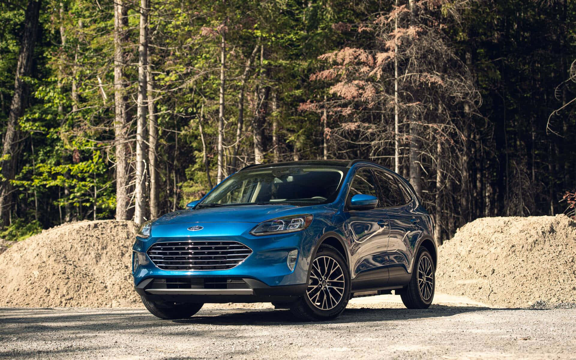 Ford Escape 桌布 壁紙 — 一輛鮮藍色福特SUV停泊在森林中兩旁長滿高大綠色和棕色樹木的碎石路上。