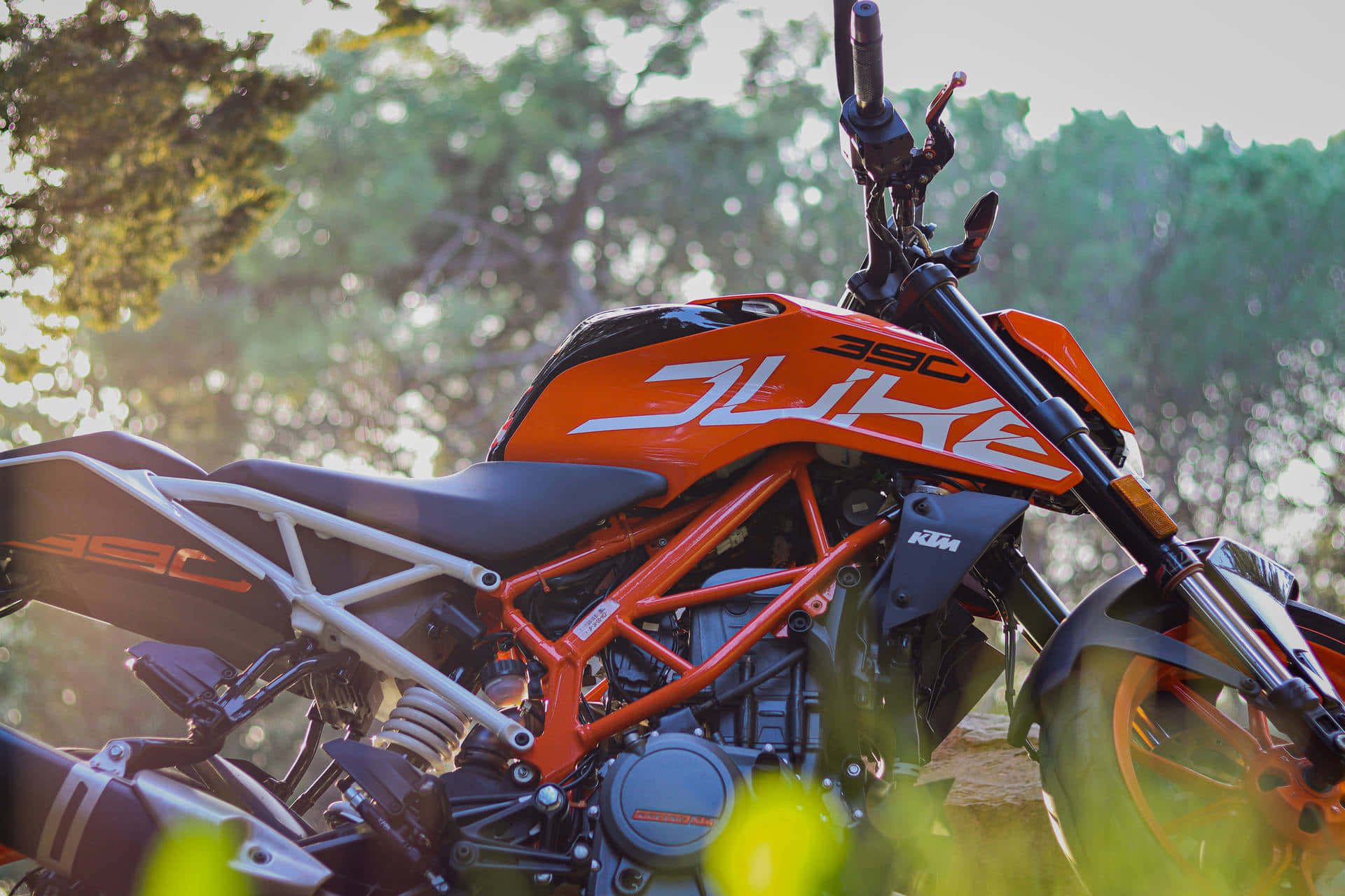 腳踏車 桌布 壁紙 — 一輛鮮豔的橙色KTM Duke 390機車停放在陽光普照的森林中，綠色樹葉呈現柔焦效果。