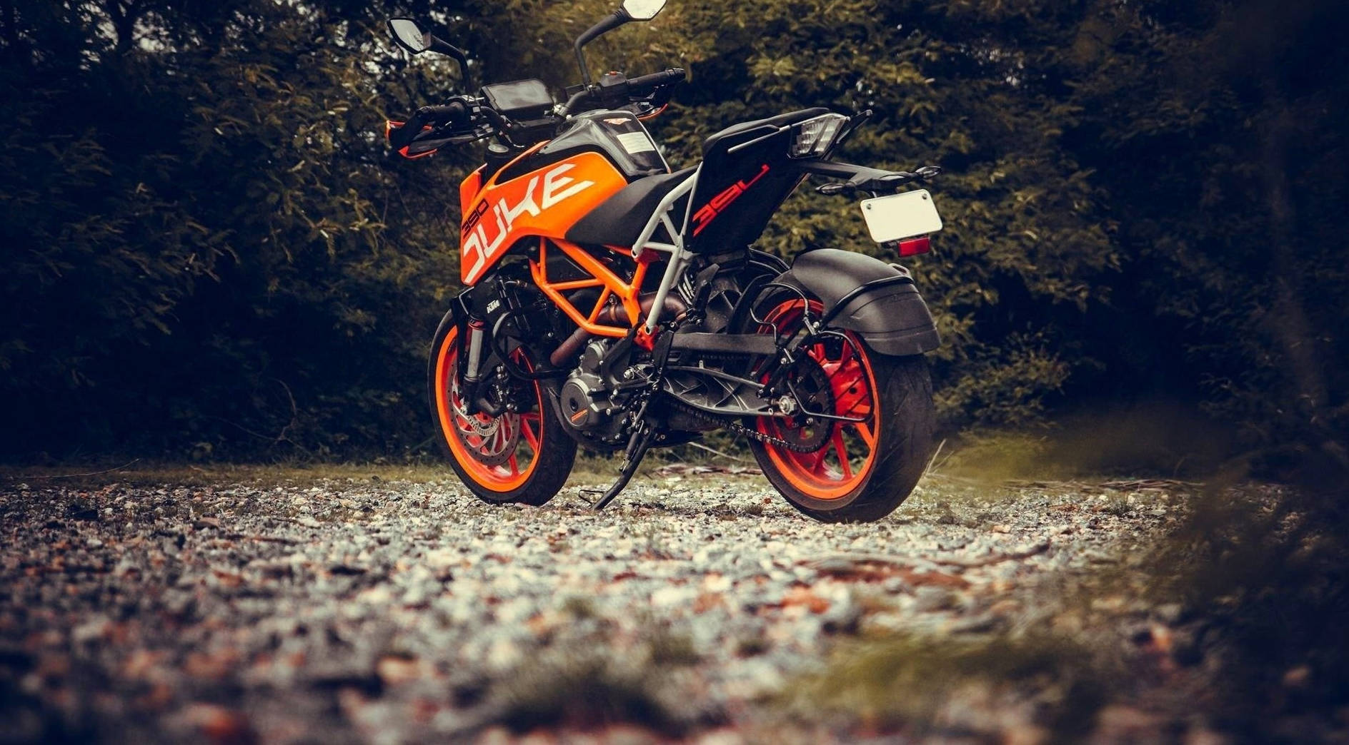 機車 桌布 壁紙 — 一輛鮮豔的橙色和黑色KTM Duke機車停泊在碎石路上，周圍是茂密的森林。
