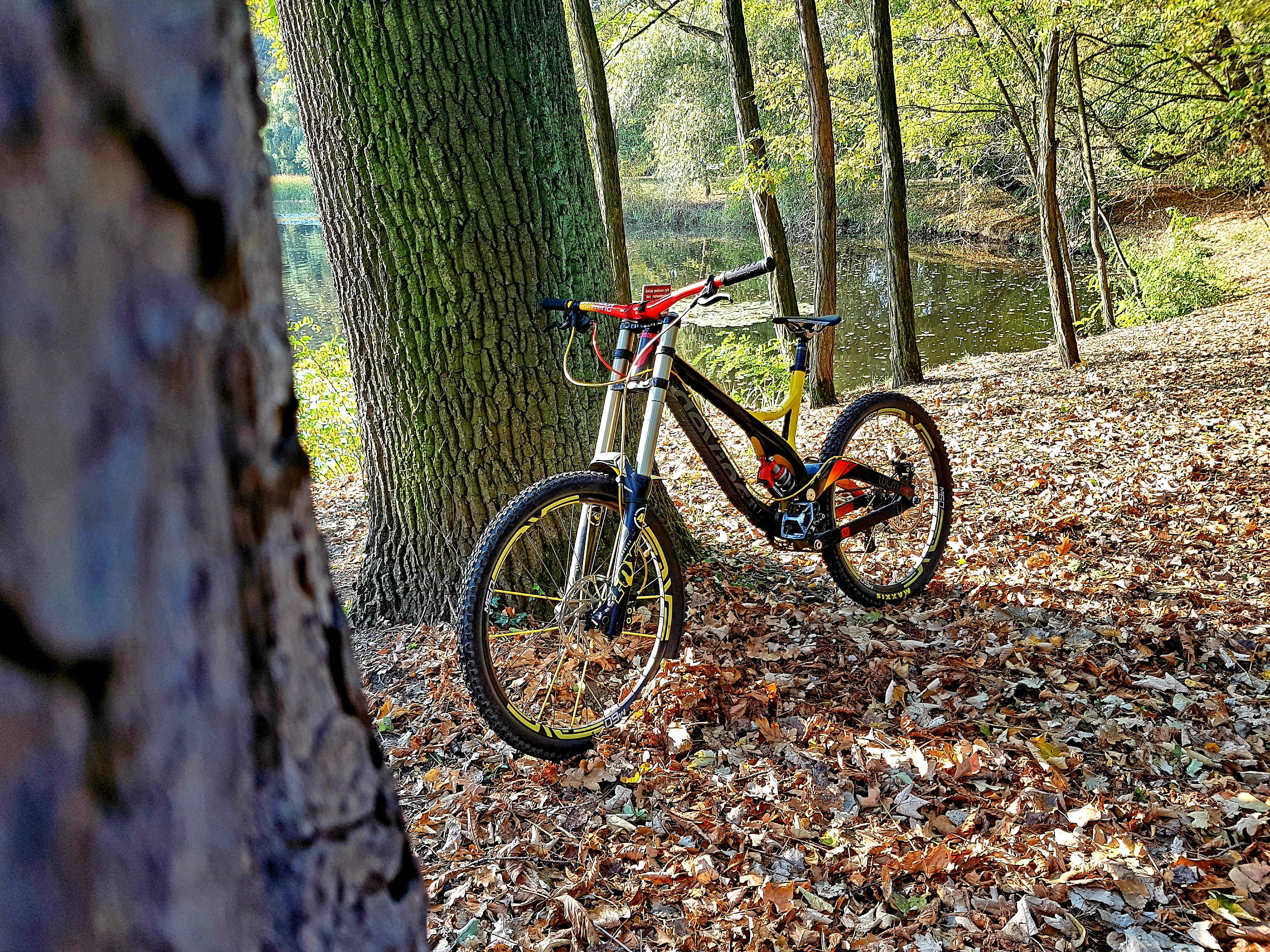 Mountain Bike 桌布 壁紙 — 一輛鮮豔的紅黃色登山車靠在一棵樹幹上，背景是陽光明媚的秋日森林，有落葉和一個池塘。