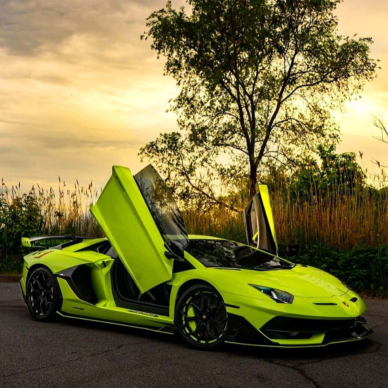 race car 桌布 壁紙 — 一輛鮮豔的青檸綠色藍寶堅尼，剪刀門打開，停在柏油路上，背景是金色夕陽天空，旁邊有高草和樹木。