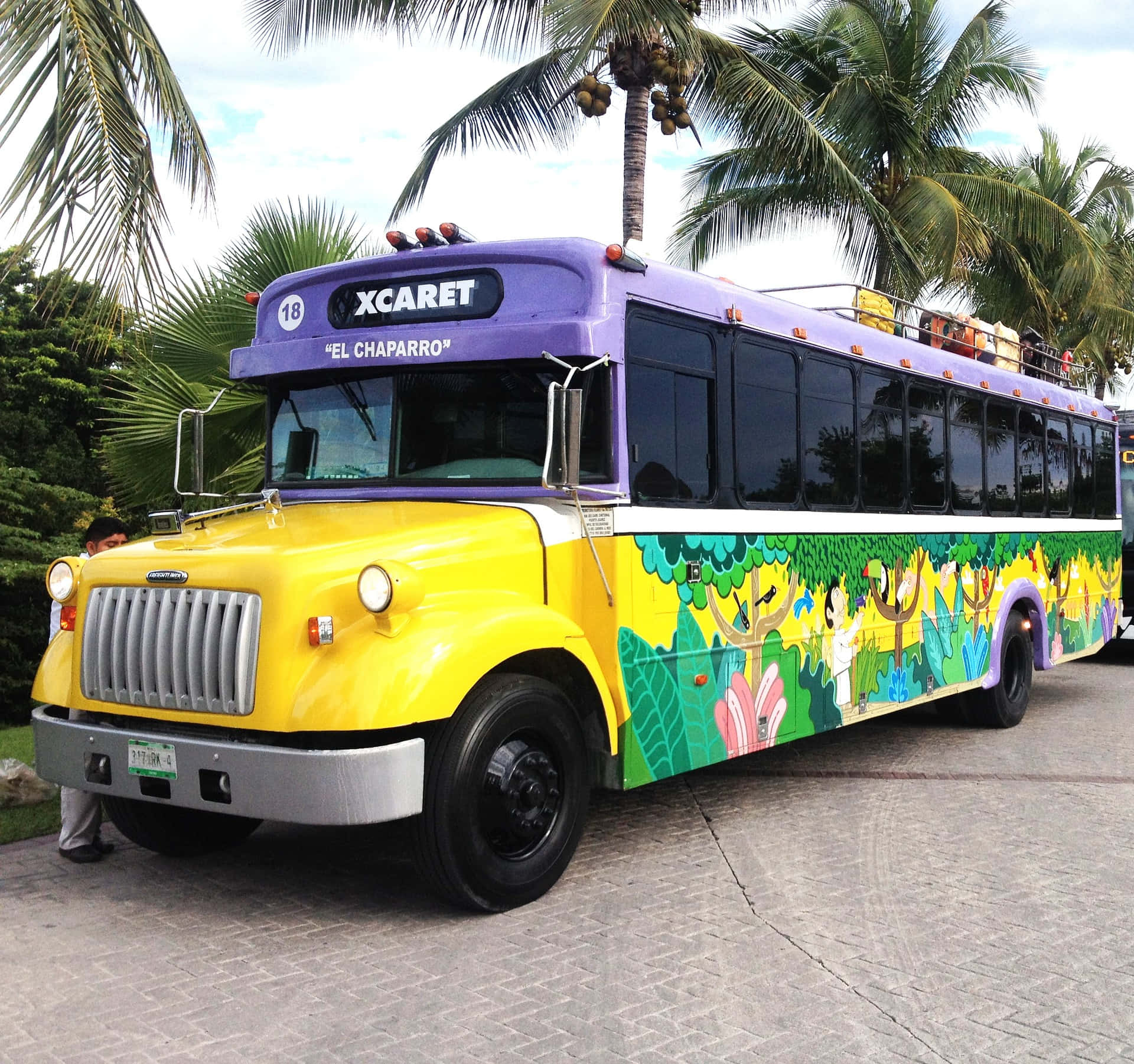 Cancun 桌布 壁紙 — 一輛鮮豔的黃色和紫色旅遊巴士，帶有叢林主題藝術品，在陽光明媚的日子裡停放在棕櫚樹下。