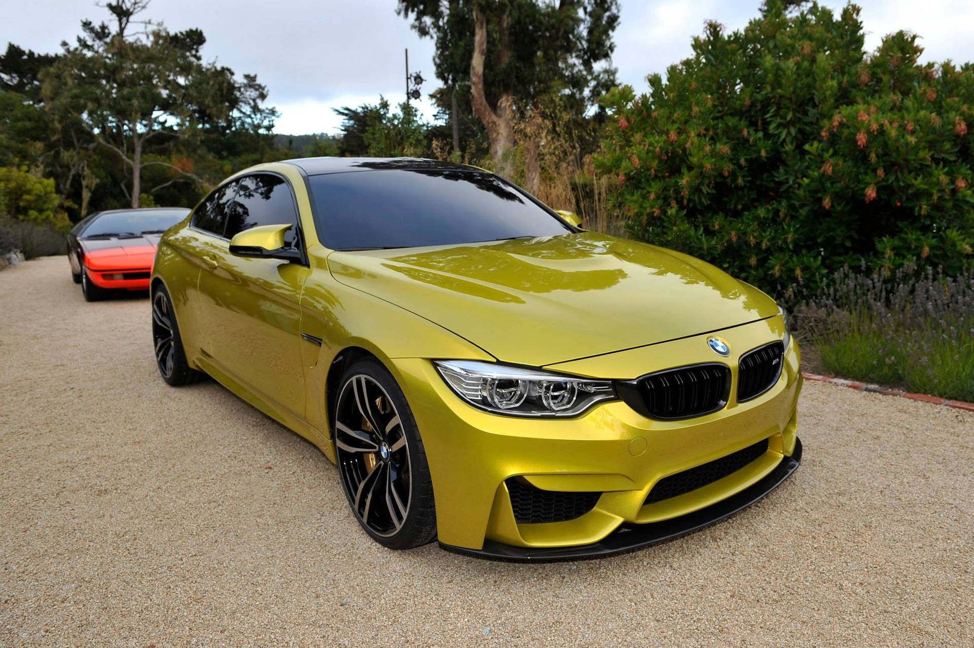 BMW 動圖 桌布 壁紙 — 一輛鮮黃色BMW M4雙門跑車在碎石車道上閃閃發光，旁邊是茂密的綠植和一輛紅色跑車。