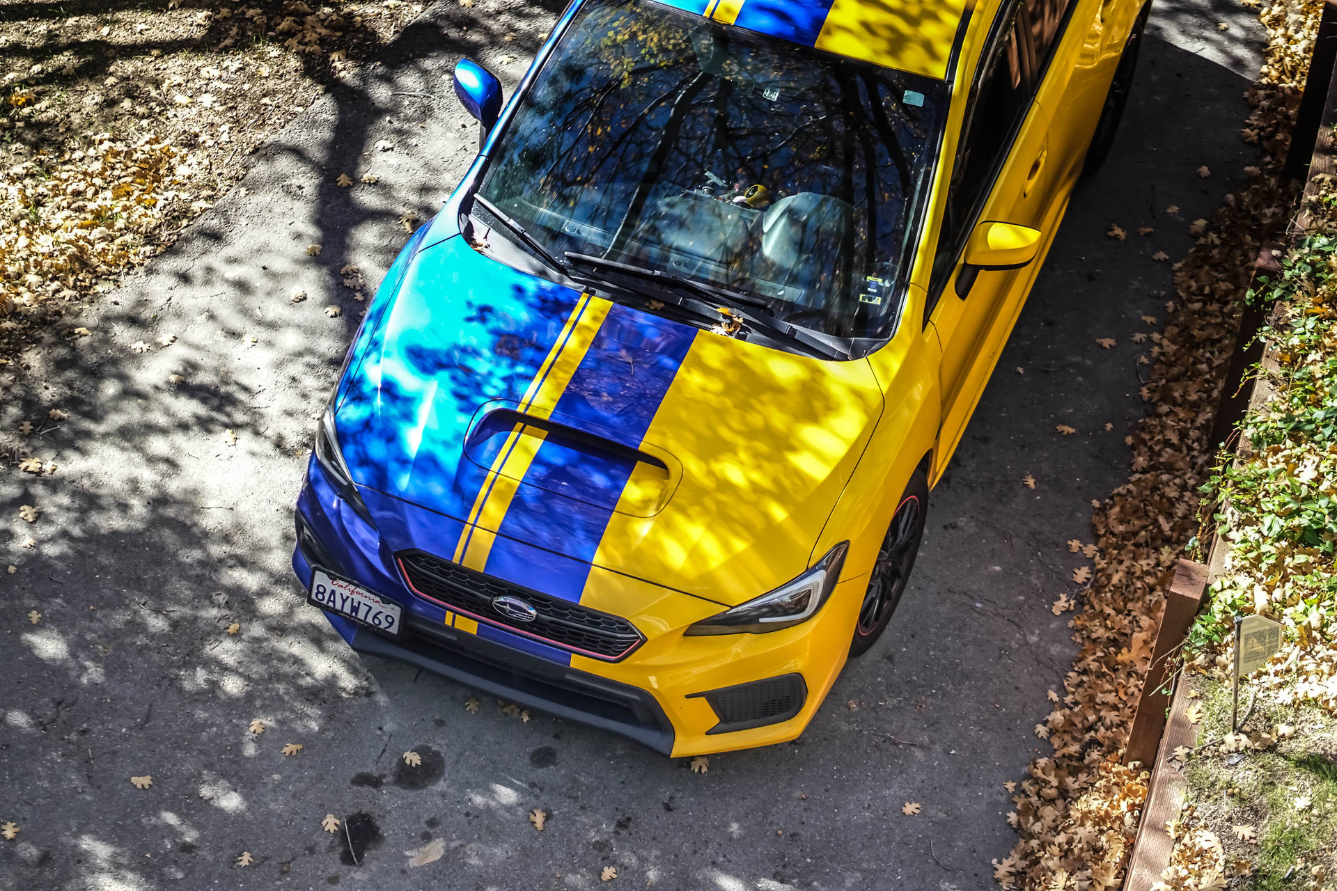 黃色和藍色的Subaru WRX停泊在秋日陽光下落葉覆蓋的車道上。 — 4K 壁紙