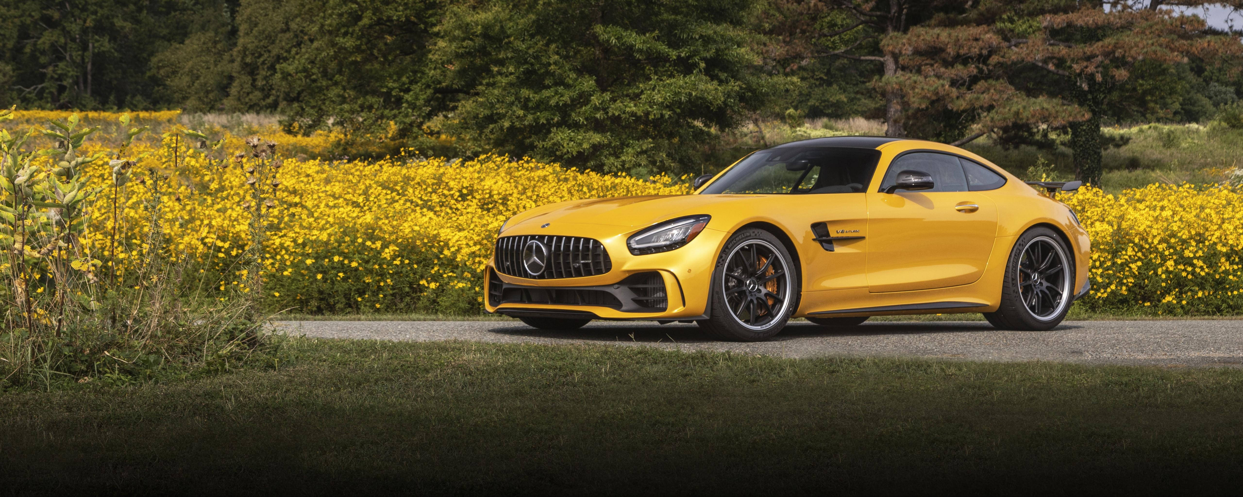 Mercedes 桌布 壁紙 — 一輛鮮黃色的 Mercedes-AMG GT R 跑車停泊在碎石路上，旁邊是盛開的黃色花田，在明亮的日光下。