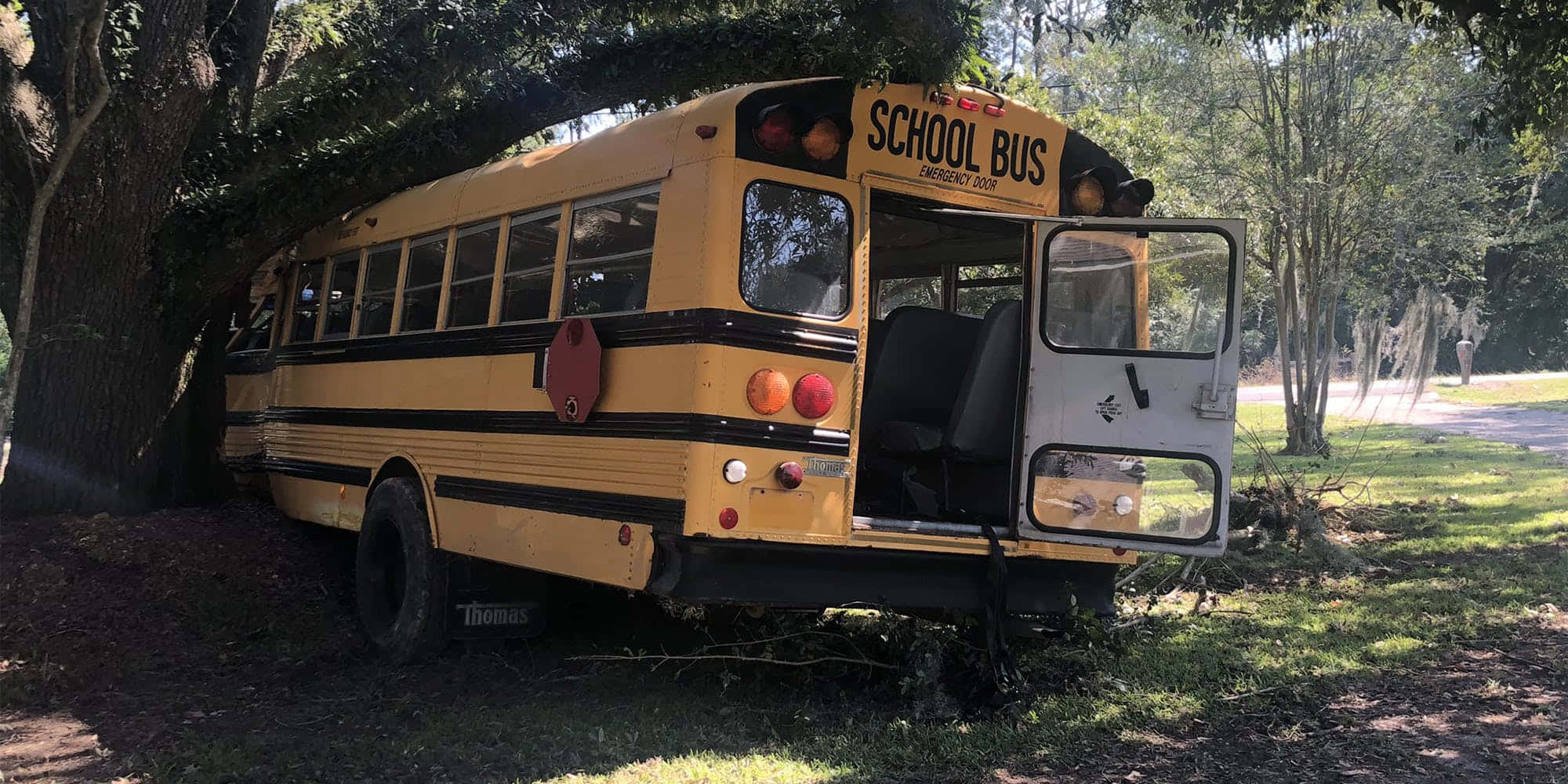 Bus 桌布 壁紙 — 一輛黃色校車被遺棄在一棵大樹下，位於長滿草的樹林地區，斑駁的陽光穿過樹葉灑落。