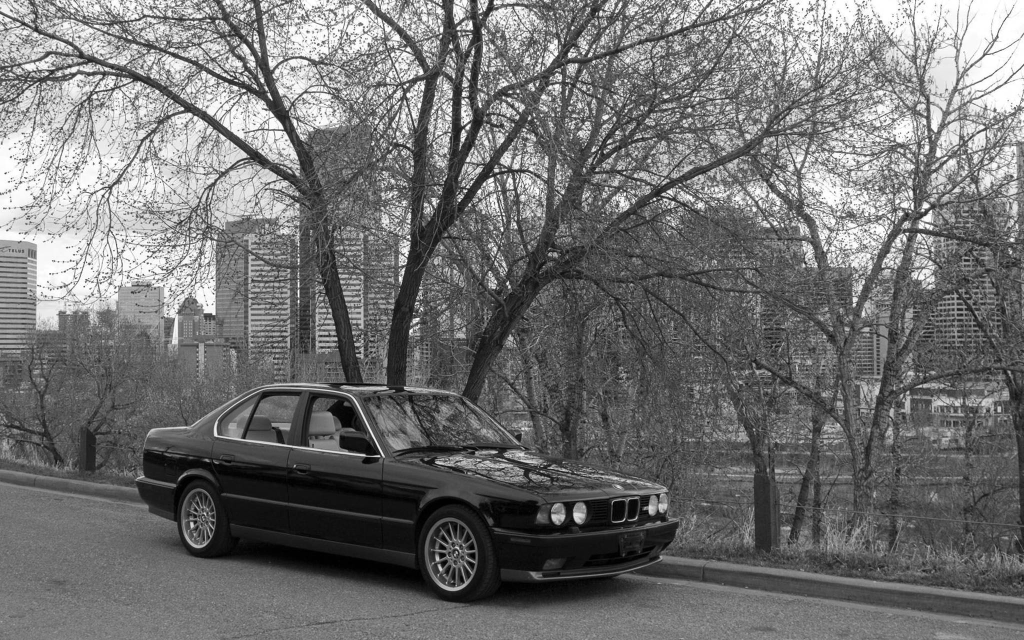 classic bmw 桌布 壁紙 — 一輛黑色BMW轎車停放在林蔭大道上，禿枝後方可見城市天際線。