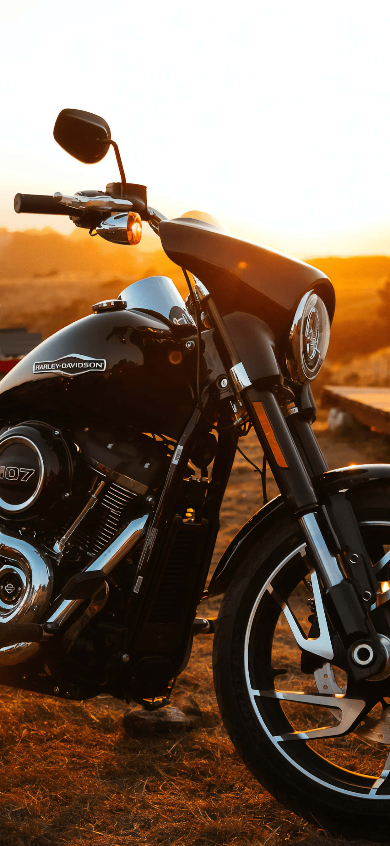 Harley Davidson HD 桌布 壁紙 — 一輛黑色Harley-Davidson摩托車在乾草上閃耀著金色日落光芒，背景有山丘。