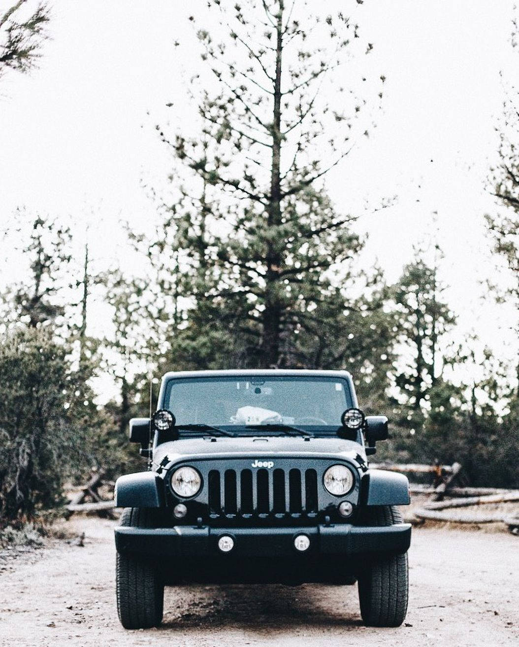 Wrangler 桌布 壁紙 — 一輛黑色Jeep Wrangler在泥土路上向前行駛，周圍是高聳的松樹，天空多雲。