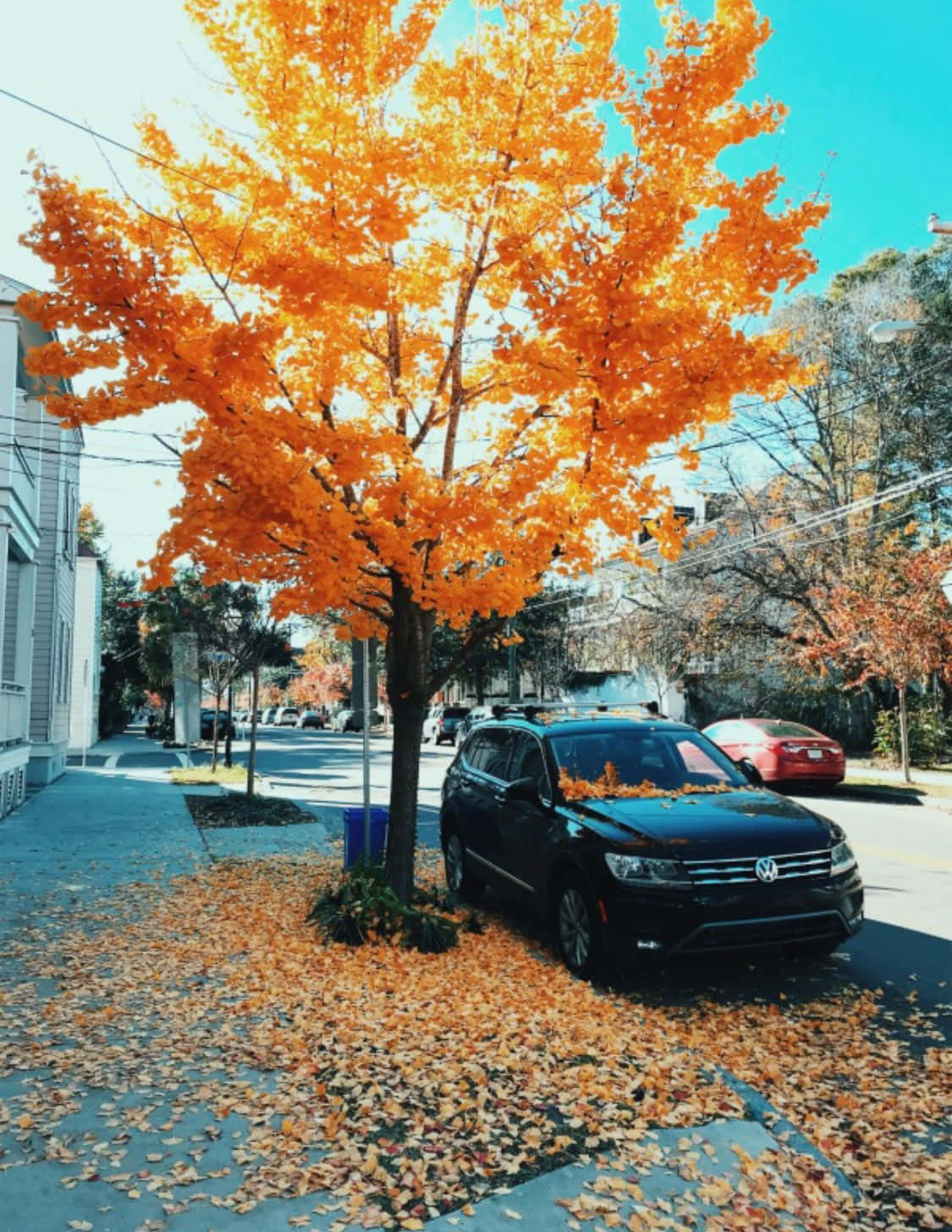 Autumn Season 桌布 壁紙 — 一輛黑色SUV停在一棵鮮豔的橙色楓樹下，落葉鋪滿了人行道和街道。