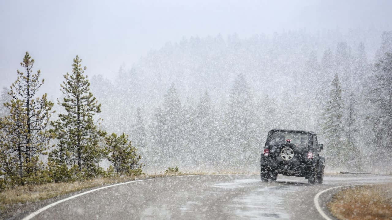 Winter Driving 桌布 壁紙 — 一輛黑色SUV在松樹成行的蜿蜒森林道路上，於強烈暴風雪中行駛。