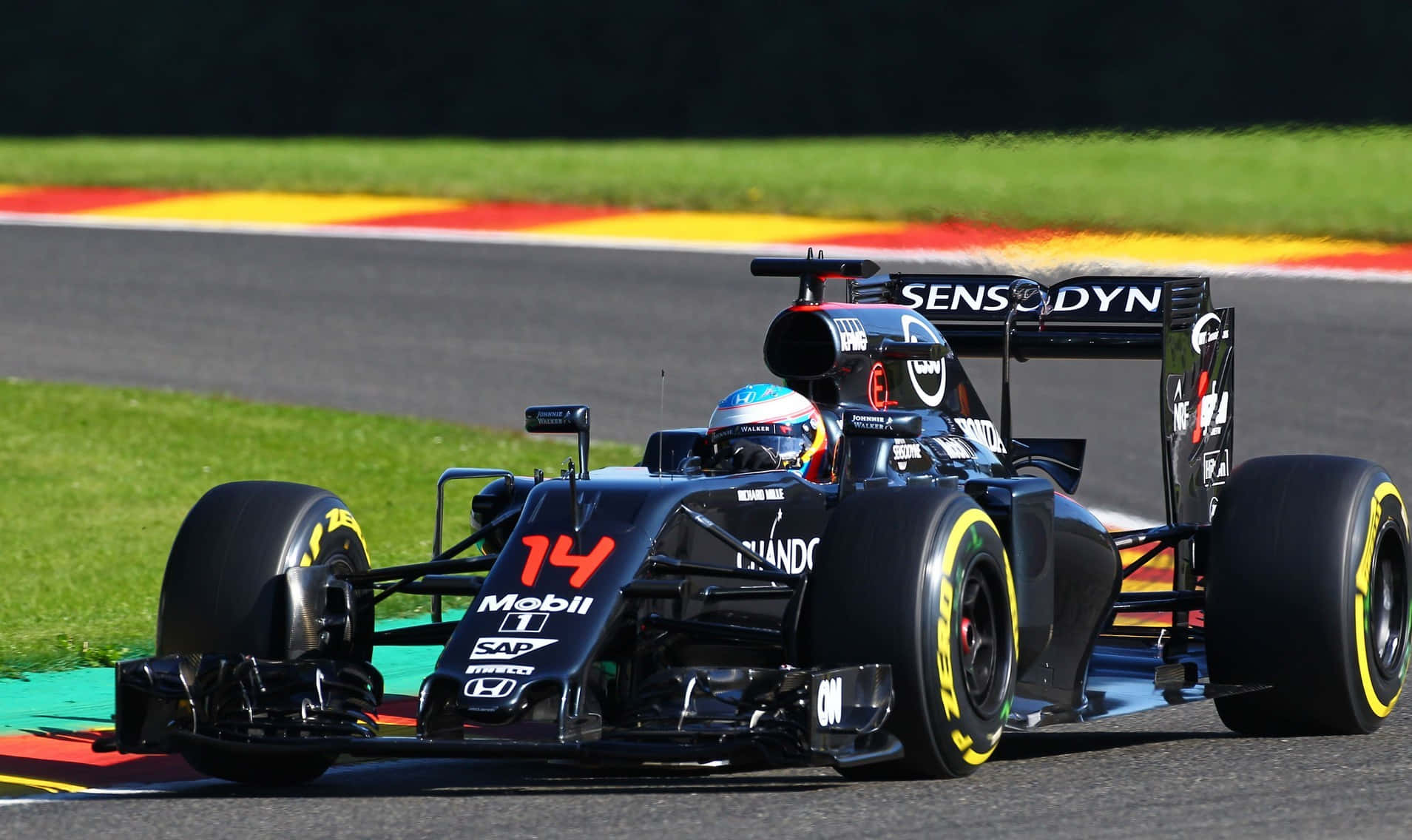 HD F1 2016 桌布 壁紙 — 一輛黑色一級方程式賽車，號碼14，沿著賽道疾馳，賽道兩旁是充滿活力的綠色草地和色彩繽紛的路緣。
