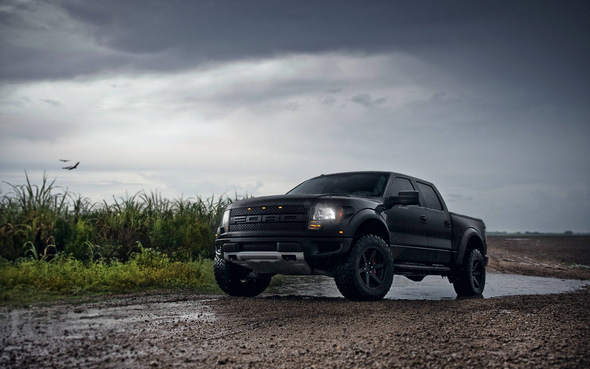 Raptor 桌布 壁紙 — 一輛黑色福特 F-150 Raptor 在泥濘的土路上堅固地停著，天空灰暗風暴，有高高的草和遠處的飛機。