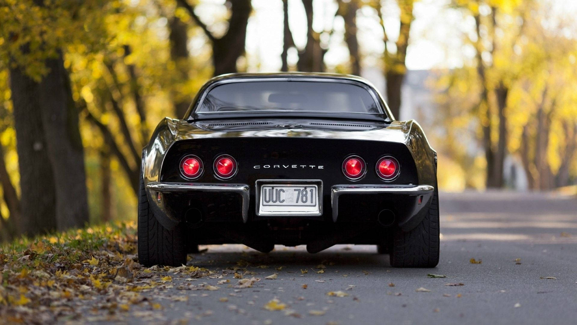 Chevrolet 桌布 壁紙 — 一輛黑色經典Corvette停在金黃秋樹下鋪滿落葉的路上，紅色尾燈閃爍。