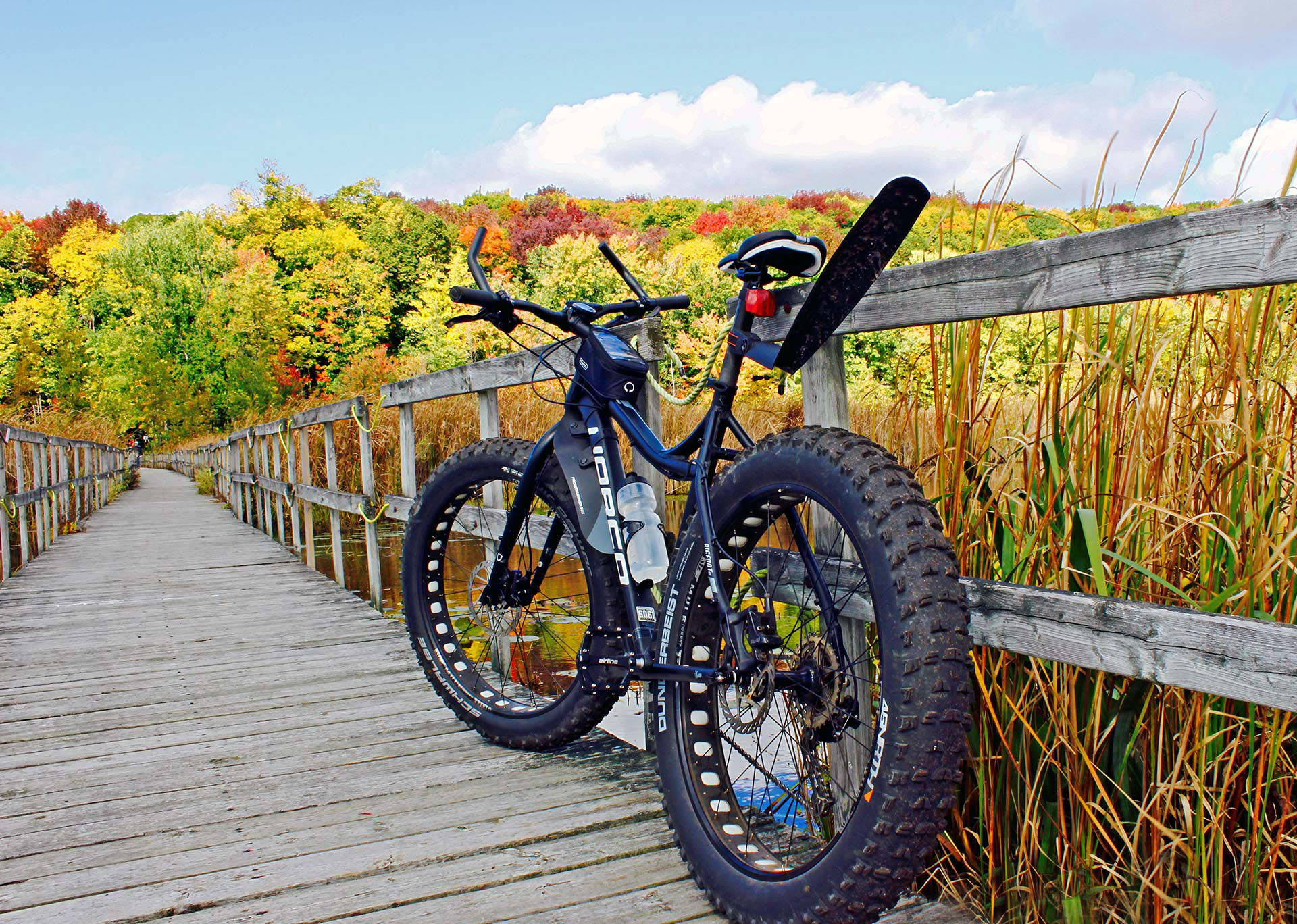 Mountain Bike 桌布 壁紙 — 一輛黑色胖胎單車靠在木製欄杆上，欄杆位於蜿蜒穿過鮮豔秋葉的木棧道上，上方是明亮的藍天。