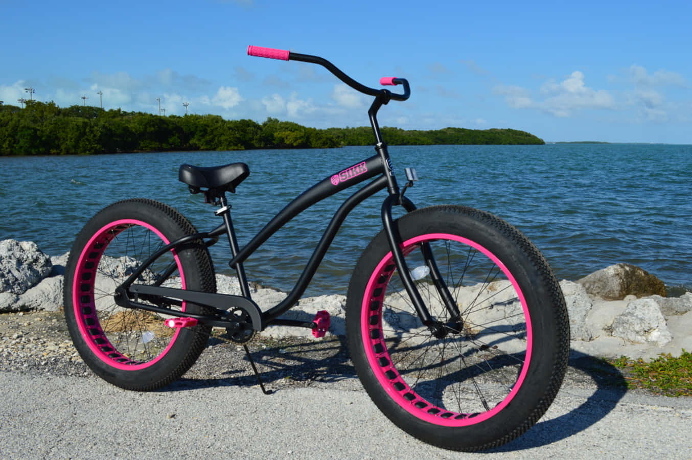 Beach Cruiser 桌布 壁紙 — 一輛黑色自行車，配有充滿活力的粉紅色車輪和把手握把，站在晴朗藍天下岩石湖岸上。