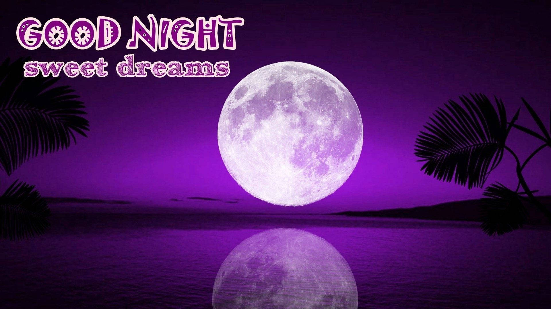 dreams 桌布 壁紙 — 一輪巨大的月亮在寧靜的紫色海洋上發光，襯托著棕櫚樹的剪影和「good night sweet dreams」的文字。