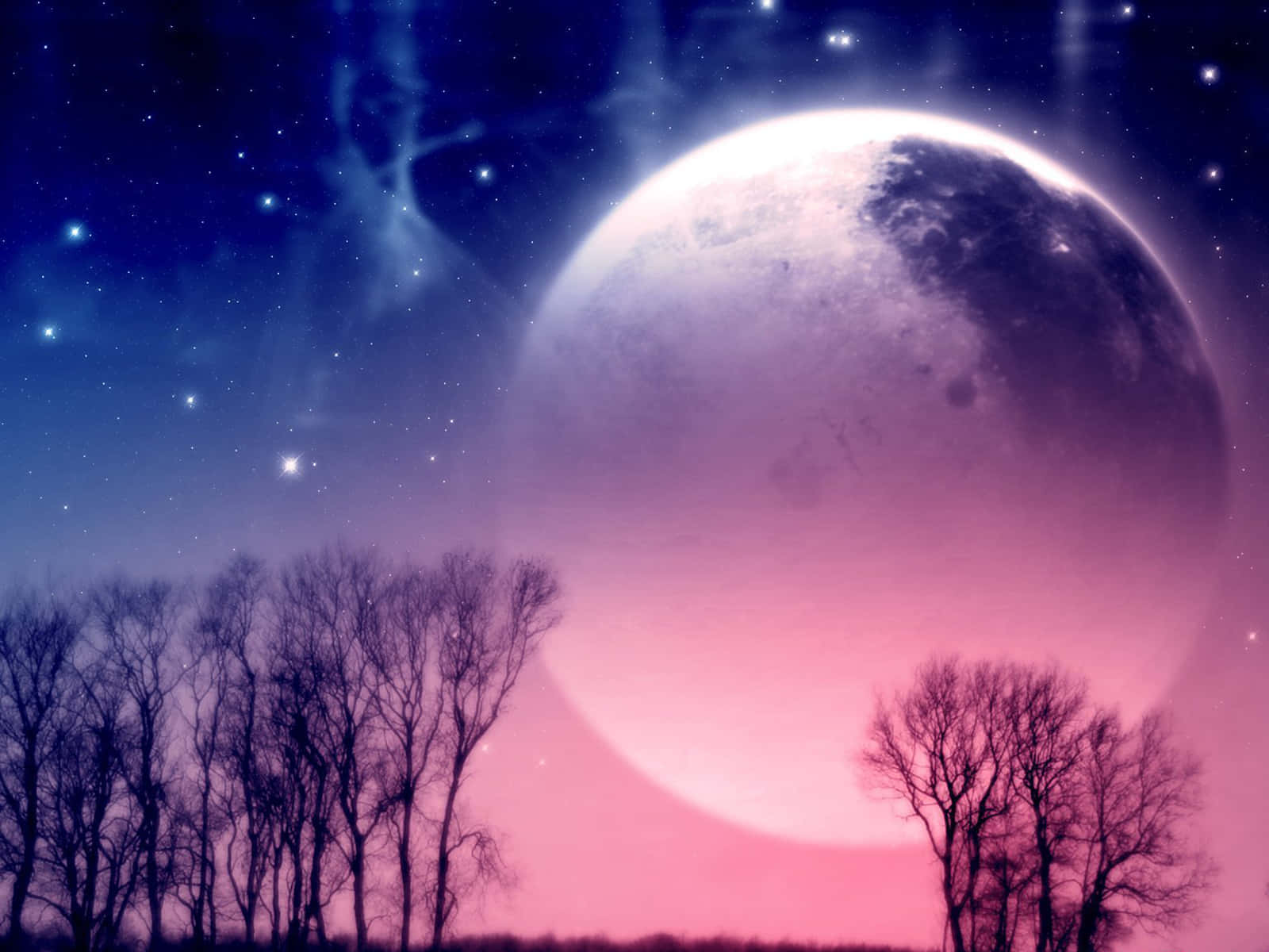 月光 桌布 壁紙 — 一輪巨大的月亮在星光和星雲點綴的夜空下，在光禿禿的樹木上方發出粉紅色和紫色的光芒。