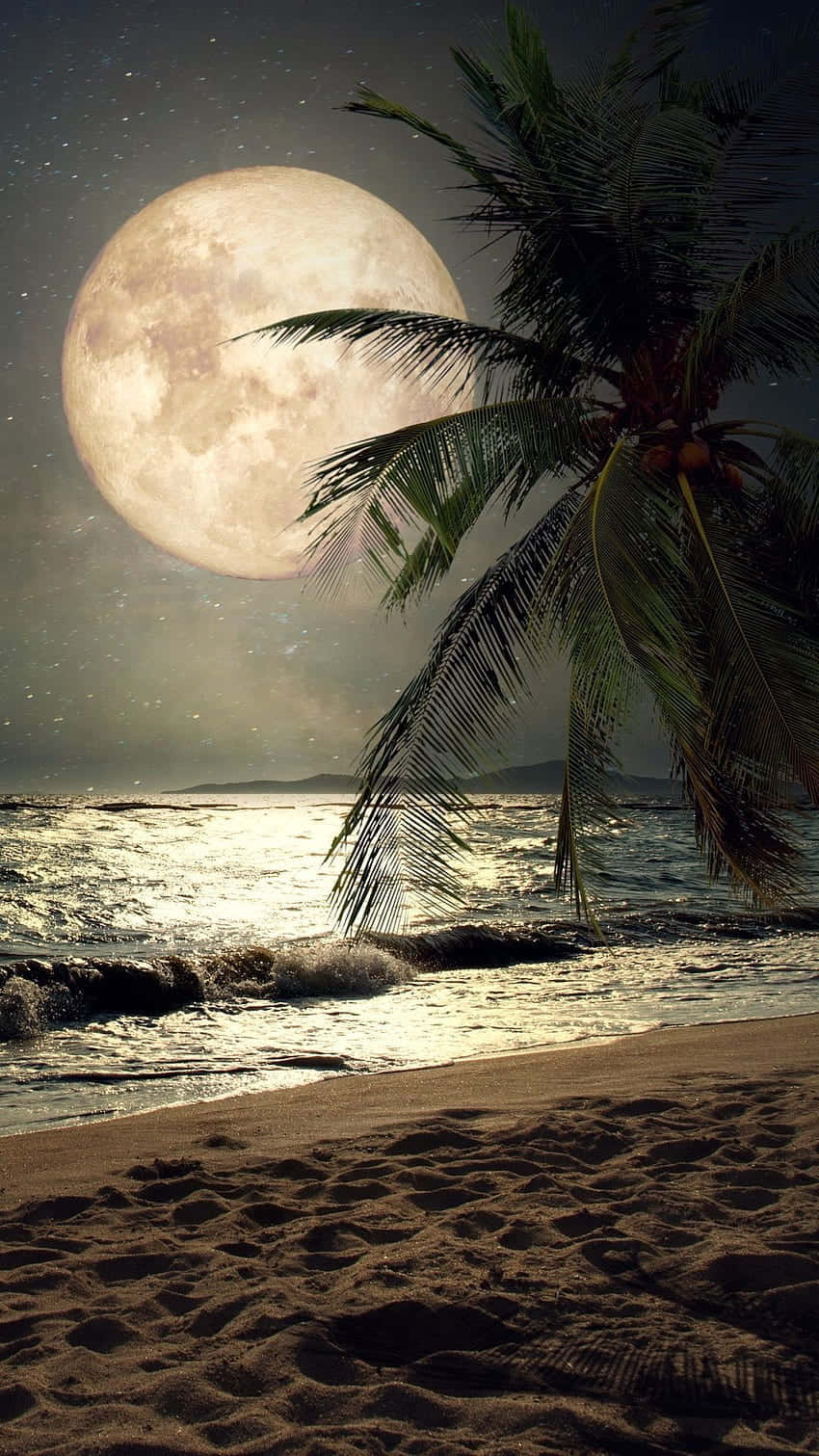 海灘 桌布 壁紙 — 一輪巨大的月亮在繁星點點的夜空中升起，將金色光芒灑在熱帶海灘上，棕櫚葉在質感沙灘上方搖曳。