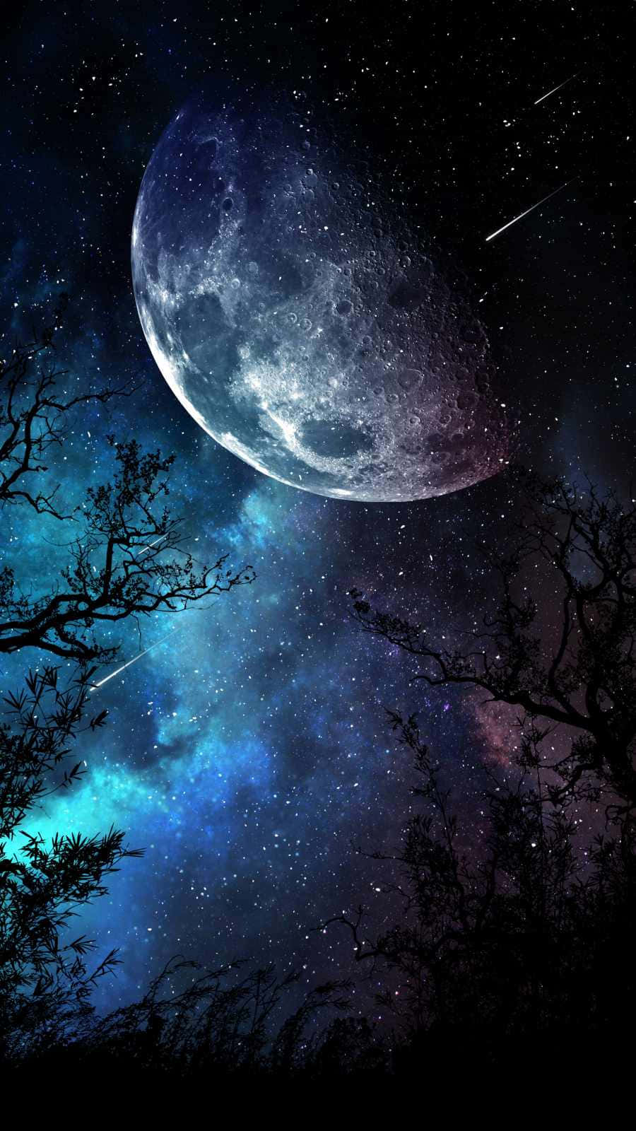 trees 桌布 壁紙 — 一輪巨大的月亮懸掛在繁星點點的夜空，發光的星雲和流星被黑暗的樹影框住。