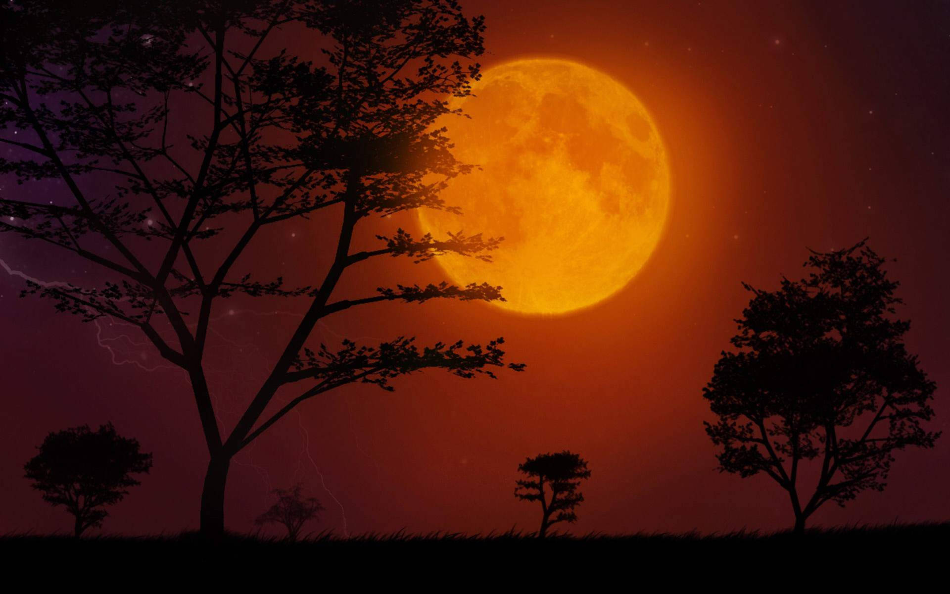 Moon Night Sky 桌布 壁紙 — 一輪巨大的橙色月亮在星光點點的紫色夜空下，在剪影樹木後方發光，伴有微弱的閃電。