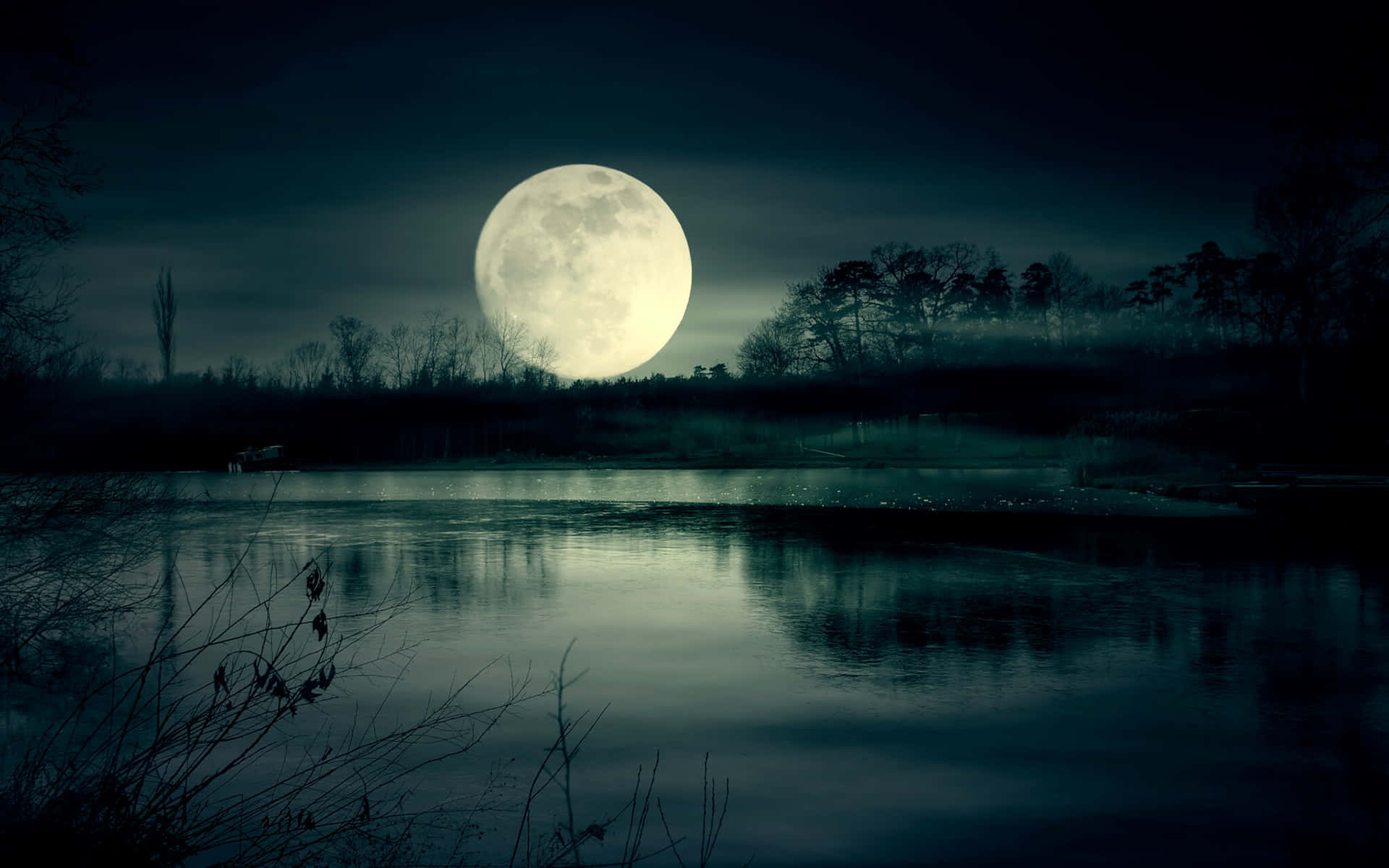 Moon Night 桌布 壁紙 — 一輪巨大的滿月在夜間照耀著霧氣瀰漫的湖泊，光禿禿的樹木在黑暗的天空中映出剪影。