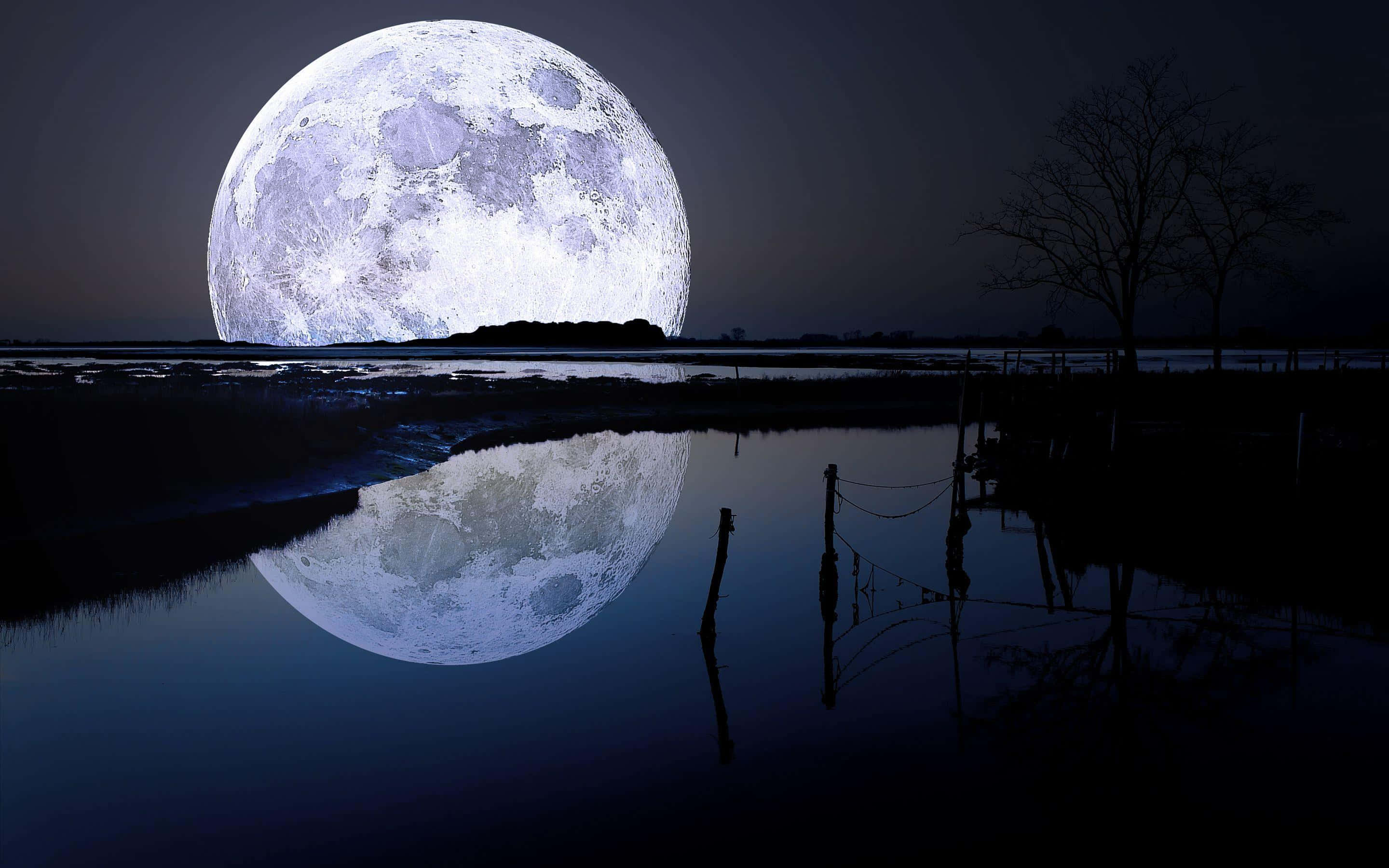 Cool Moon 桌布 壁紙 — 一輪巨大的發光月亮升起在平靜的水道上，投下完美的倒影，而光禿的樹木在夜空下形成黑暗的剪影。