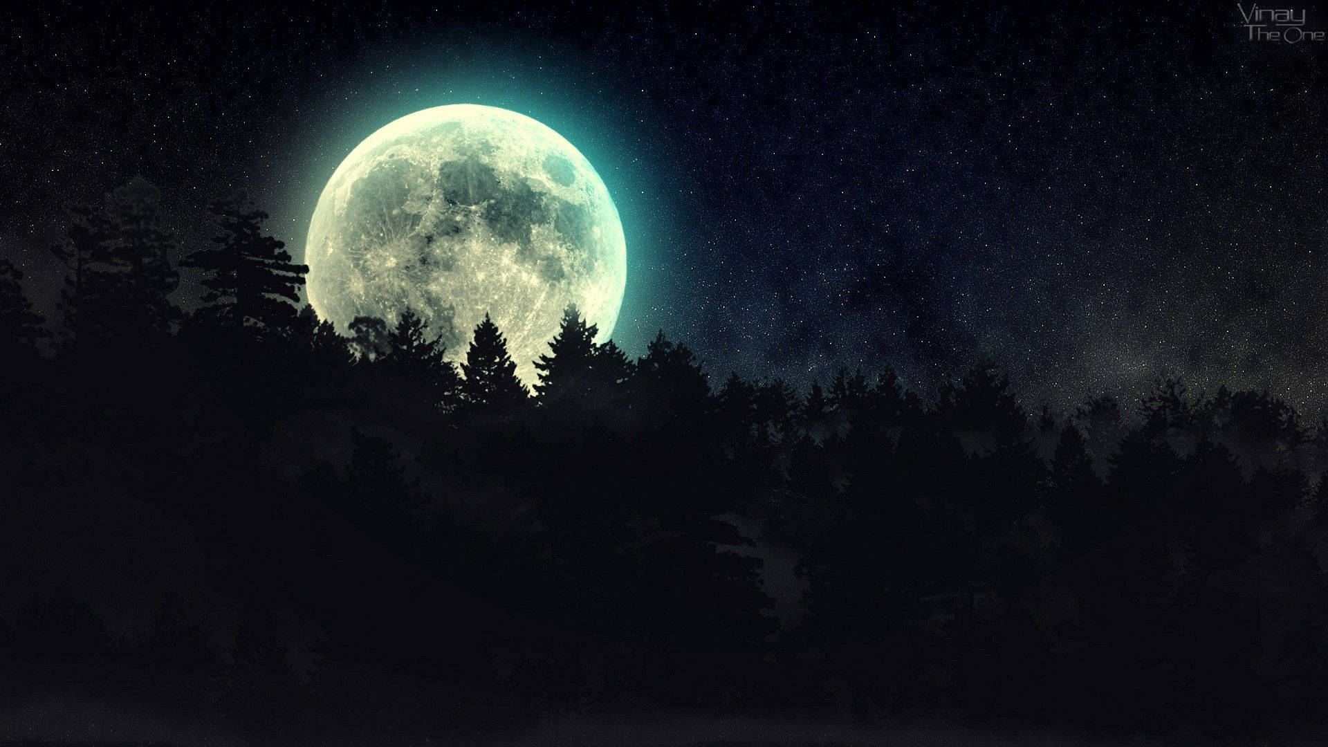 黑暗森林 桌布 壁紙 — 一輪巨大的發光月亮在星空夜幕下從黑暗森林的輪廓後升起。