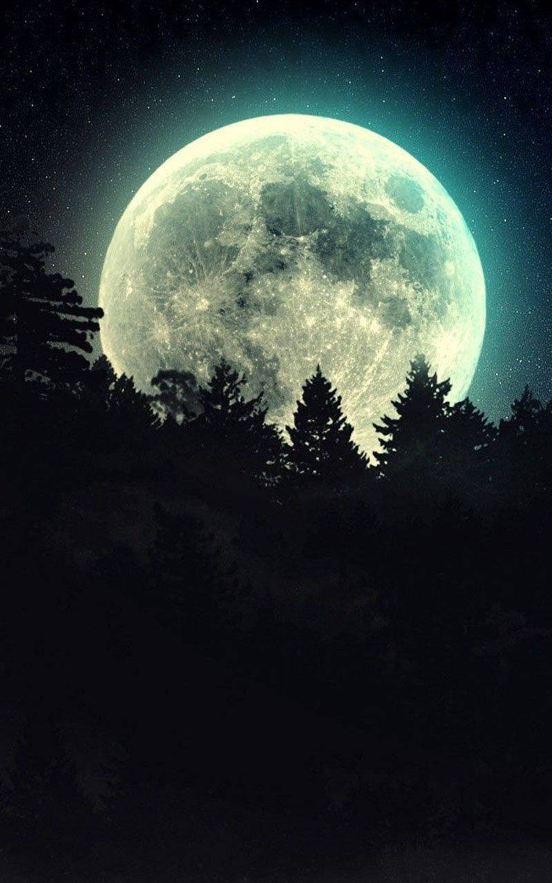 月光 桌布 壁紙 — 一輪巨大的發光月亮在繁星點點的夜空下從黑暗森林的剪影後升起。
