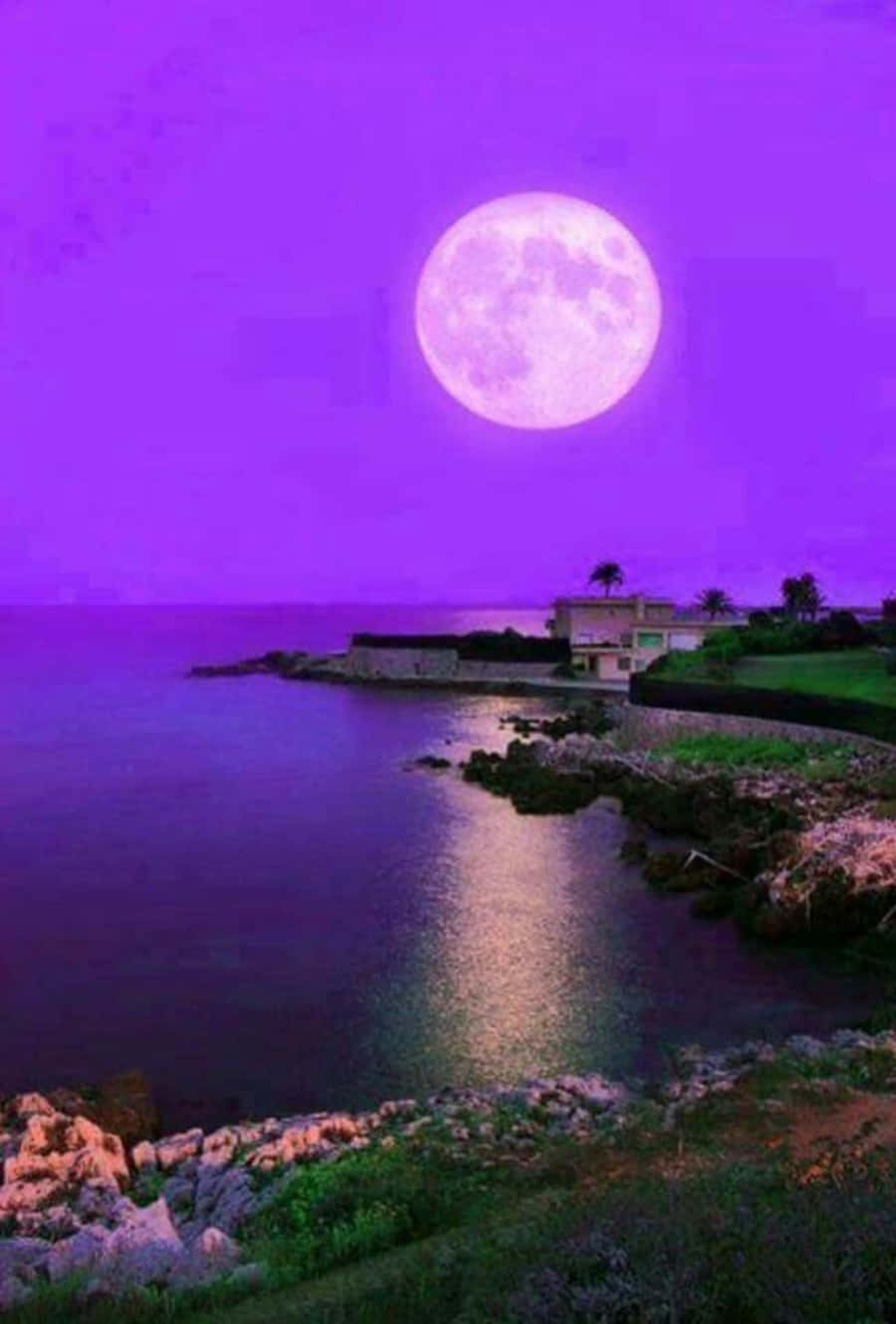 Beautiful Moon 桌布 壁紙 — 一輪巨大的發光月亮懸掛在寧靜的海岸景色之上，沐浴在超現實的紫色光芒中。
